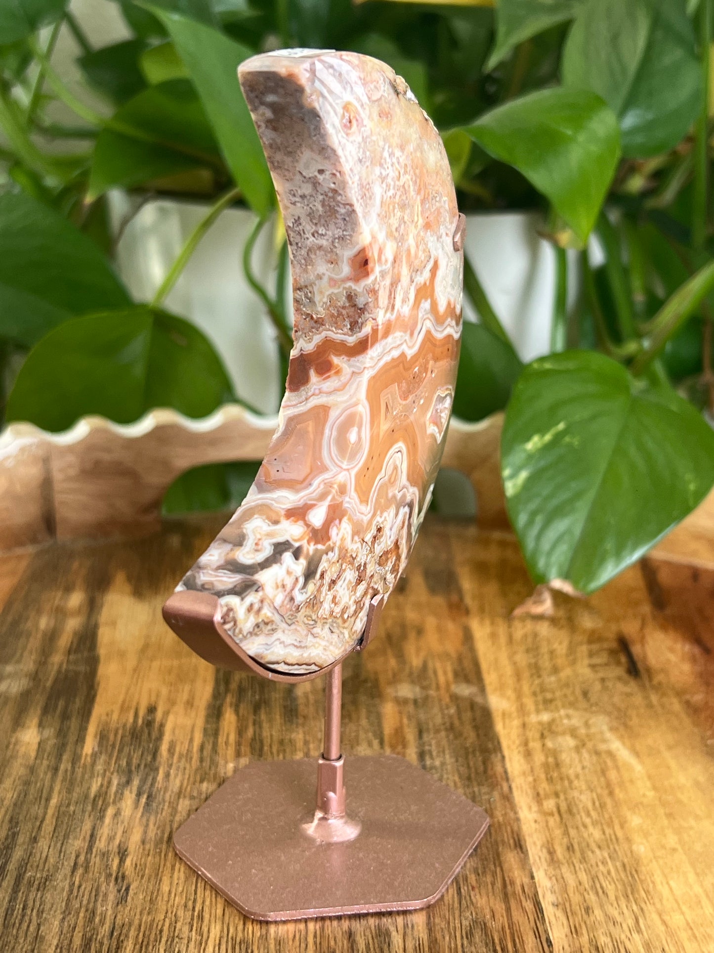 Crazy Lace Agate Moon PS