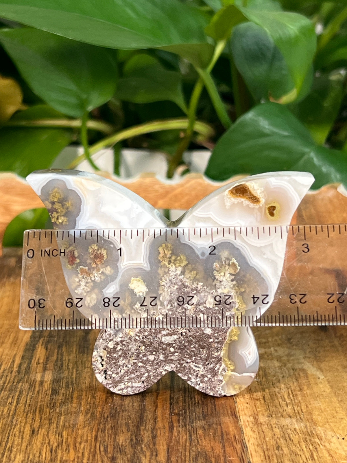 Scenic Moss Agate Butterflies