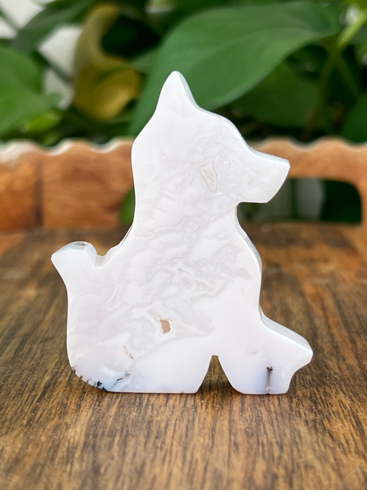 White Plume Agate Dogs
