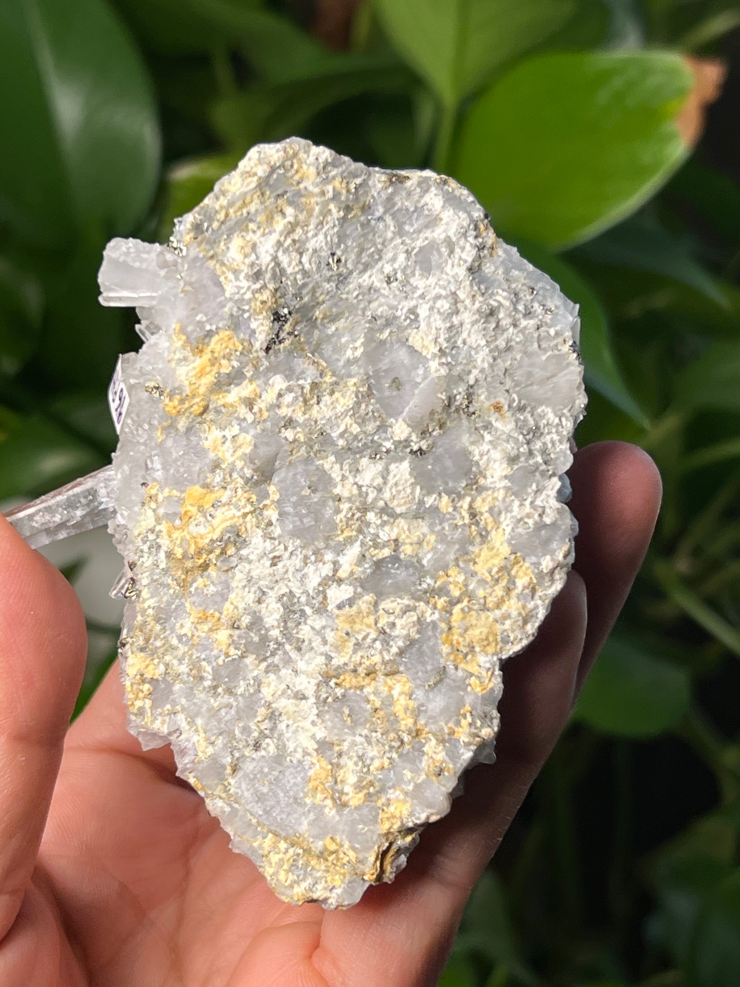 Rainbow Pyrite Quartz