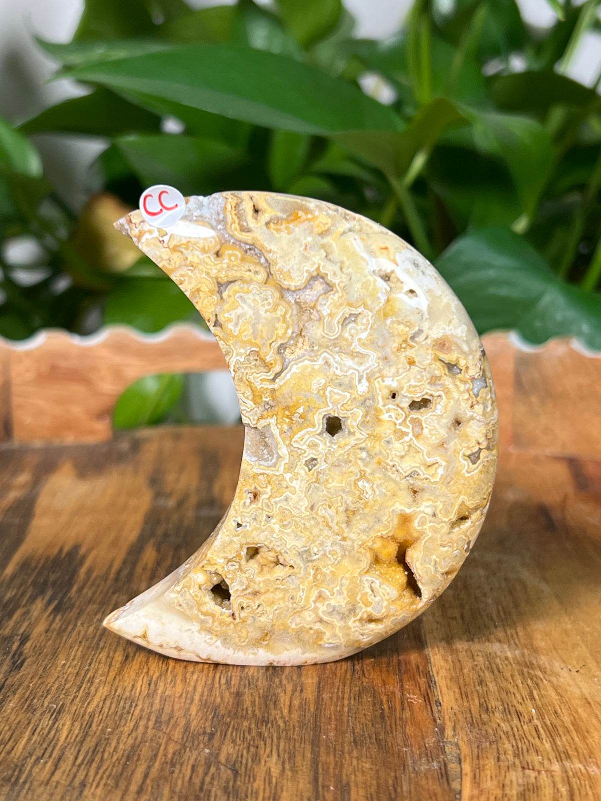 Yellow Crazy Lace Agate Self Standing Moons