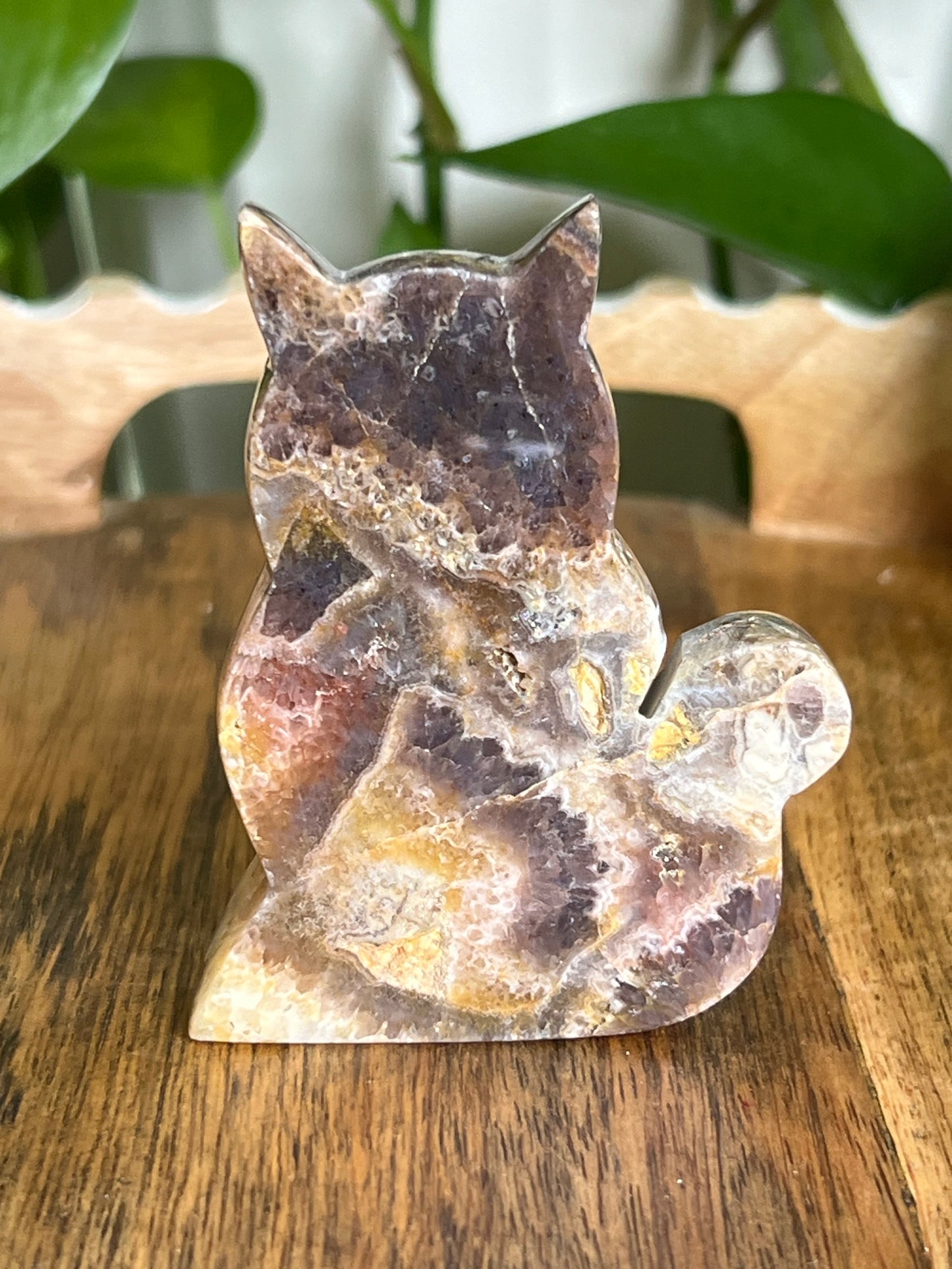 Indonesian Amethyst Cat CK