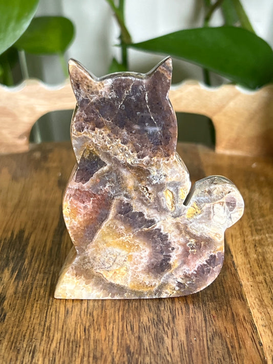 Indonesian Amethyst Cat CK