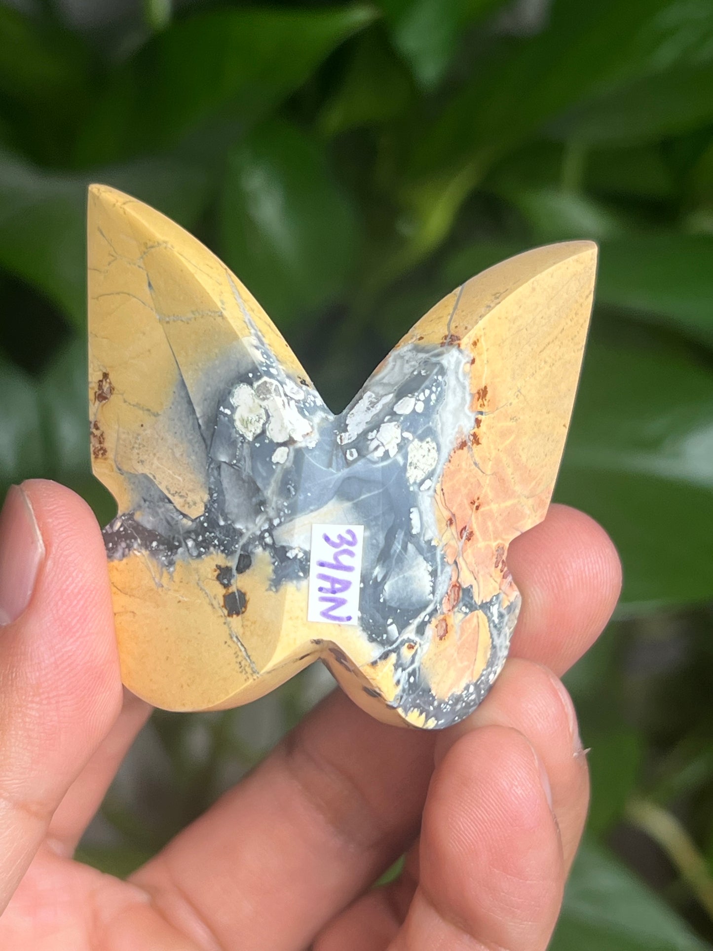 Maligano 3D Butterfly: AN