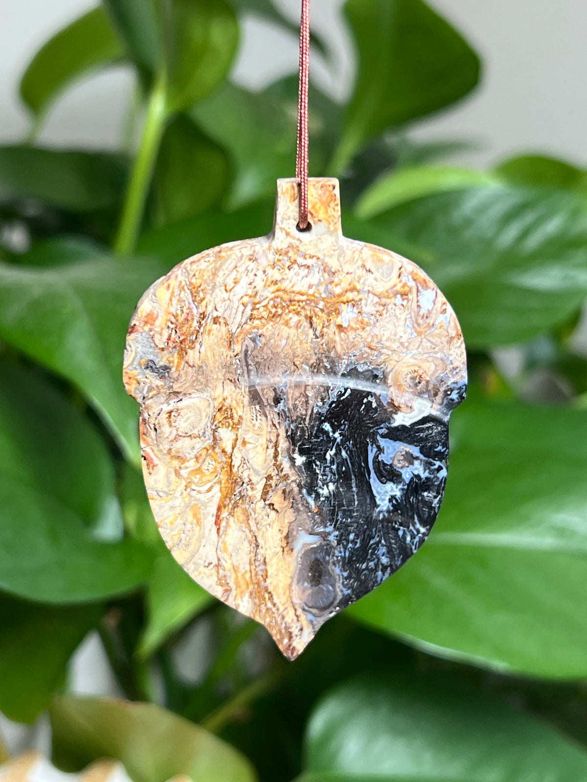 Palm Root Ornament Acorn: SE