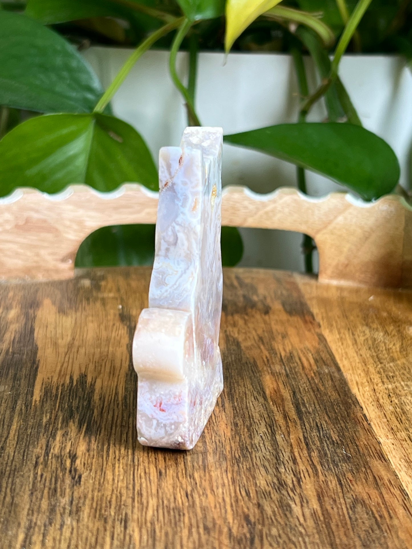 Sumatra Agate Cat EE