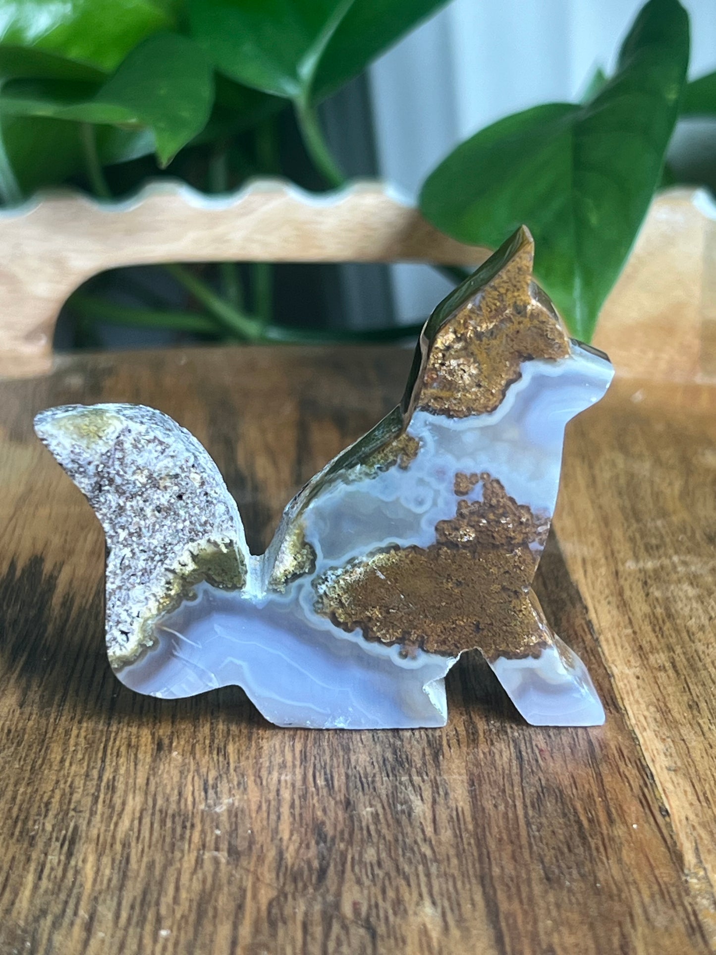 Scenic Moss Agate Fox PC