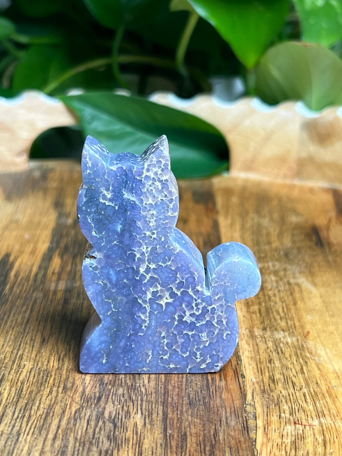 Grape Agate Mini Cat: BB