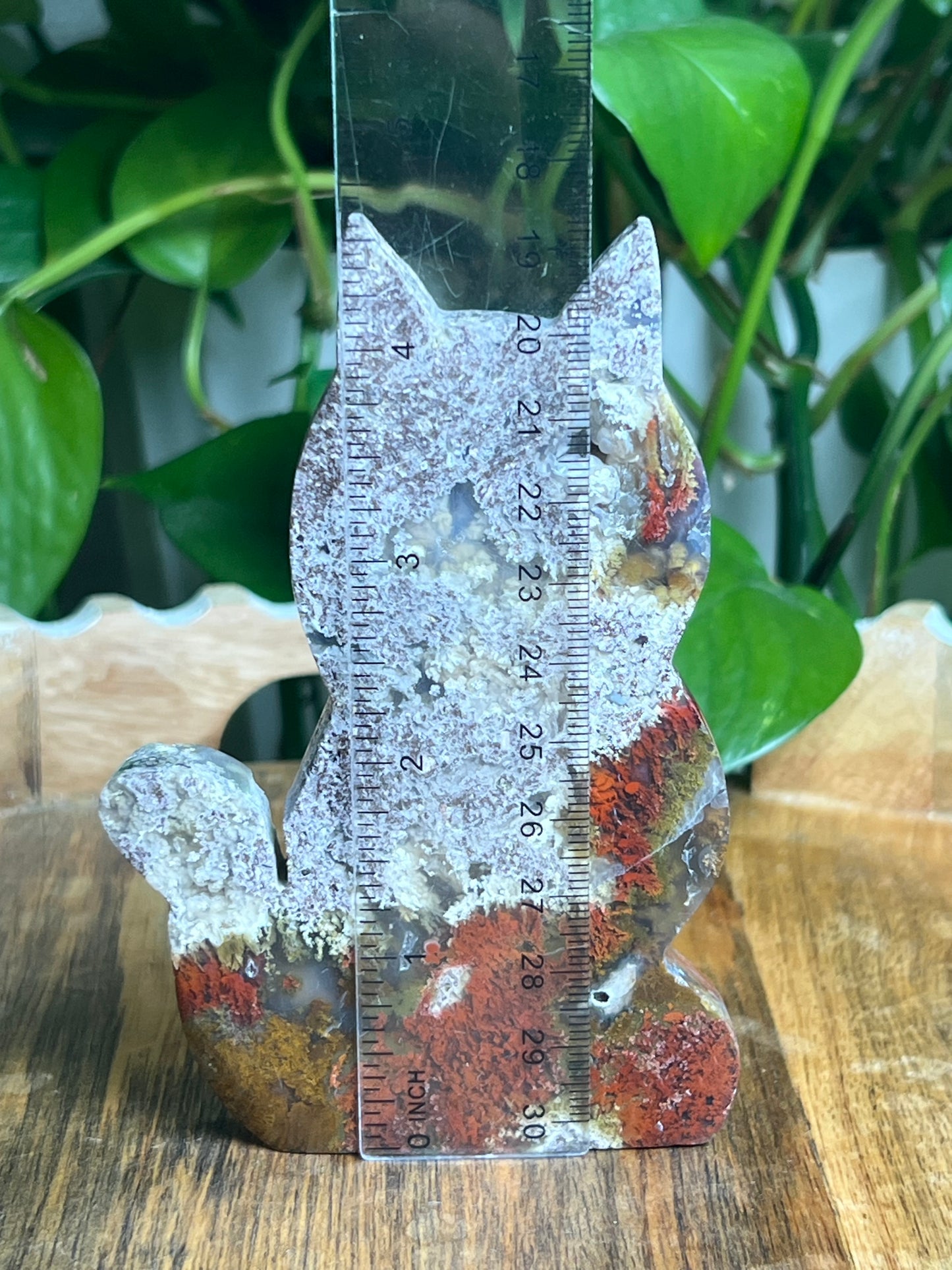Scenic Moss Agate Cat: AP
