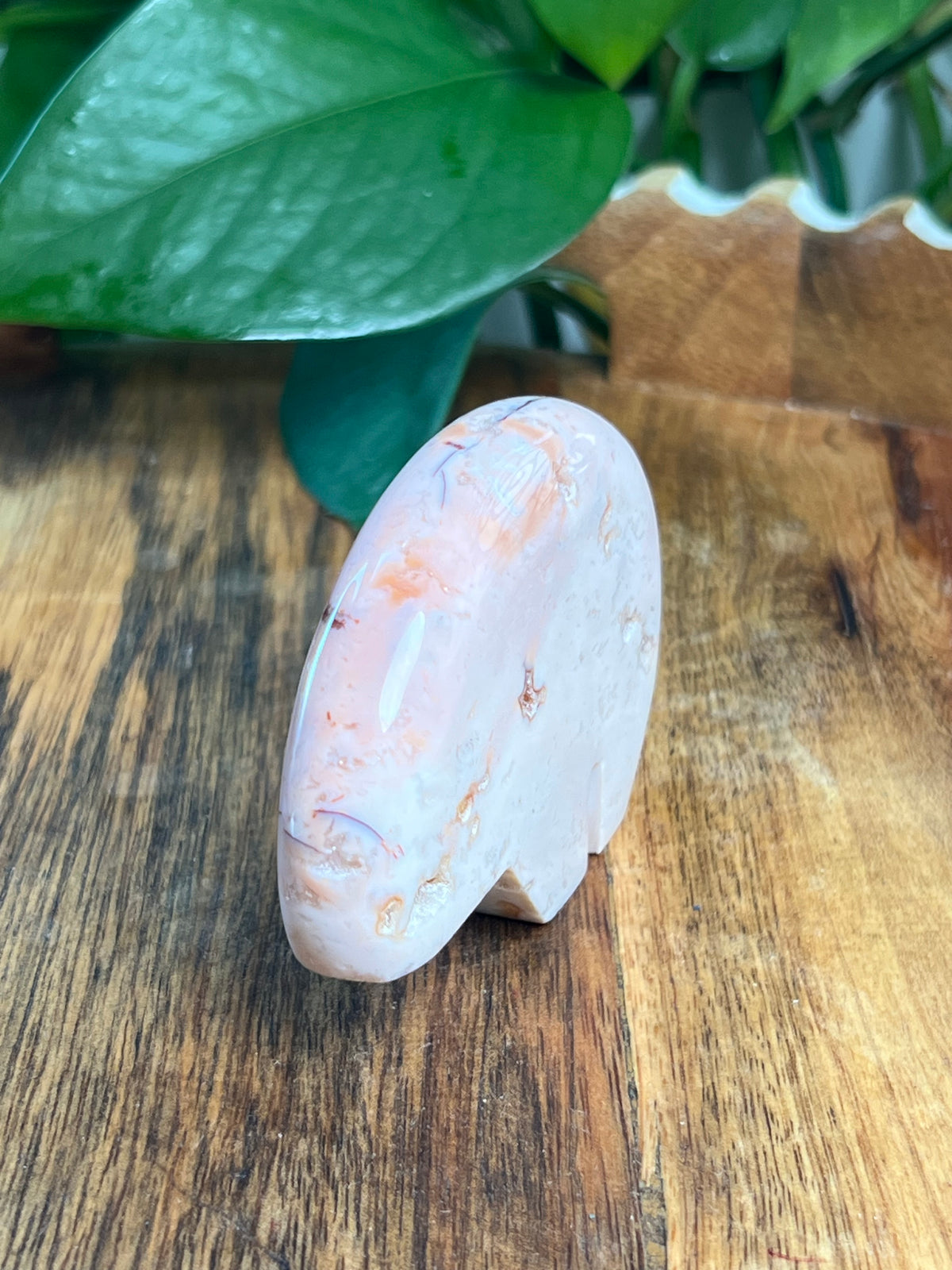 Pink Carnelian Bear: PL
