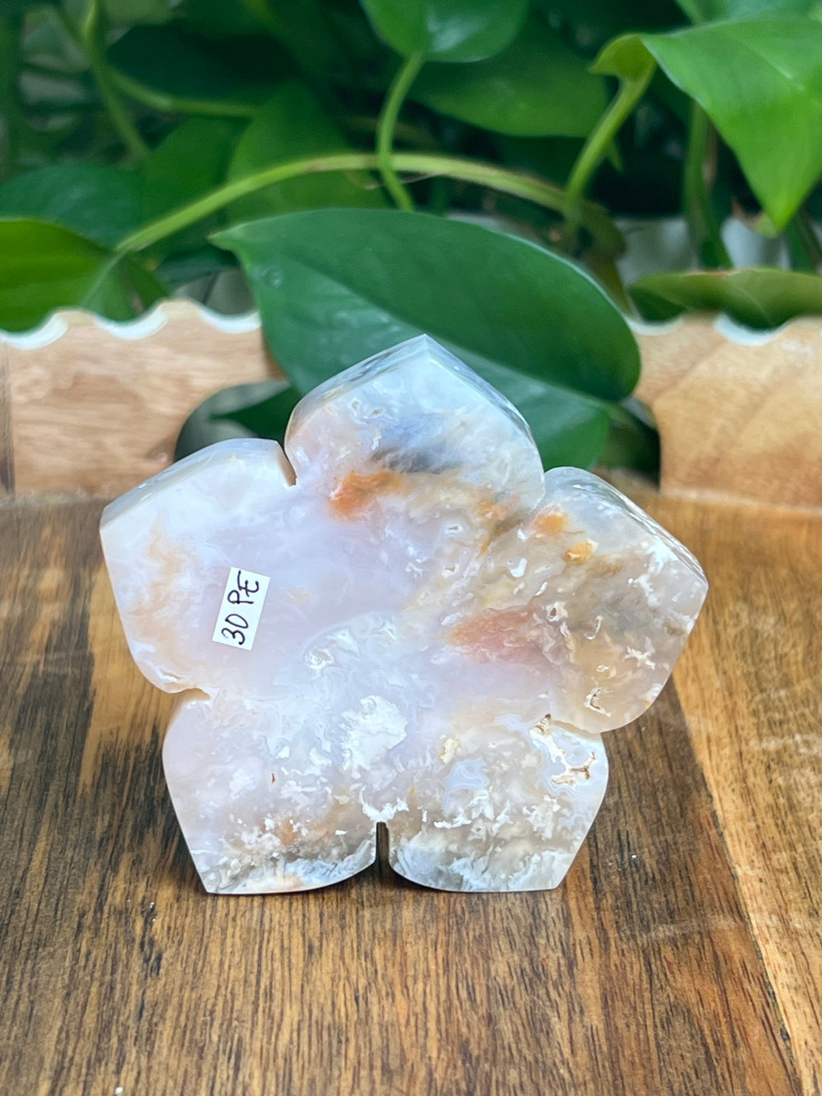 Rainbow Plume Agate Flower: PE