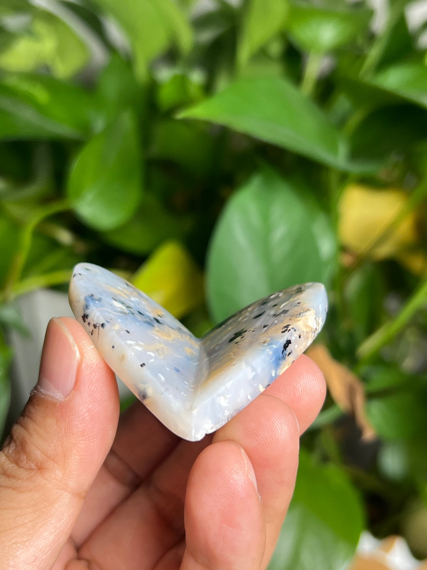 Dendritic Tiger Agate 3D Butterfly HK