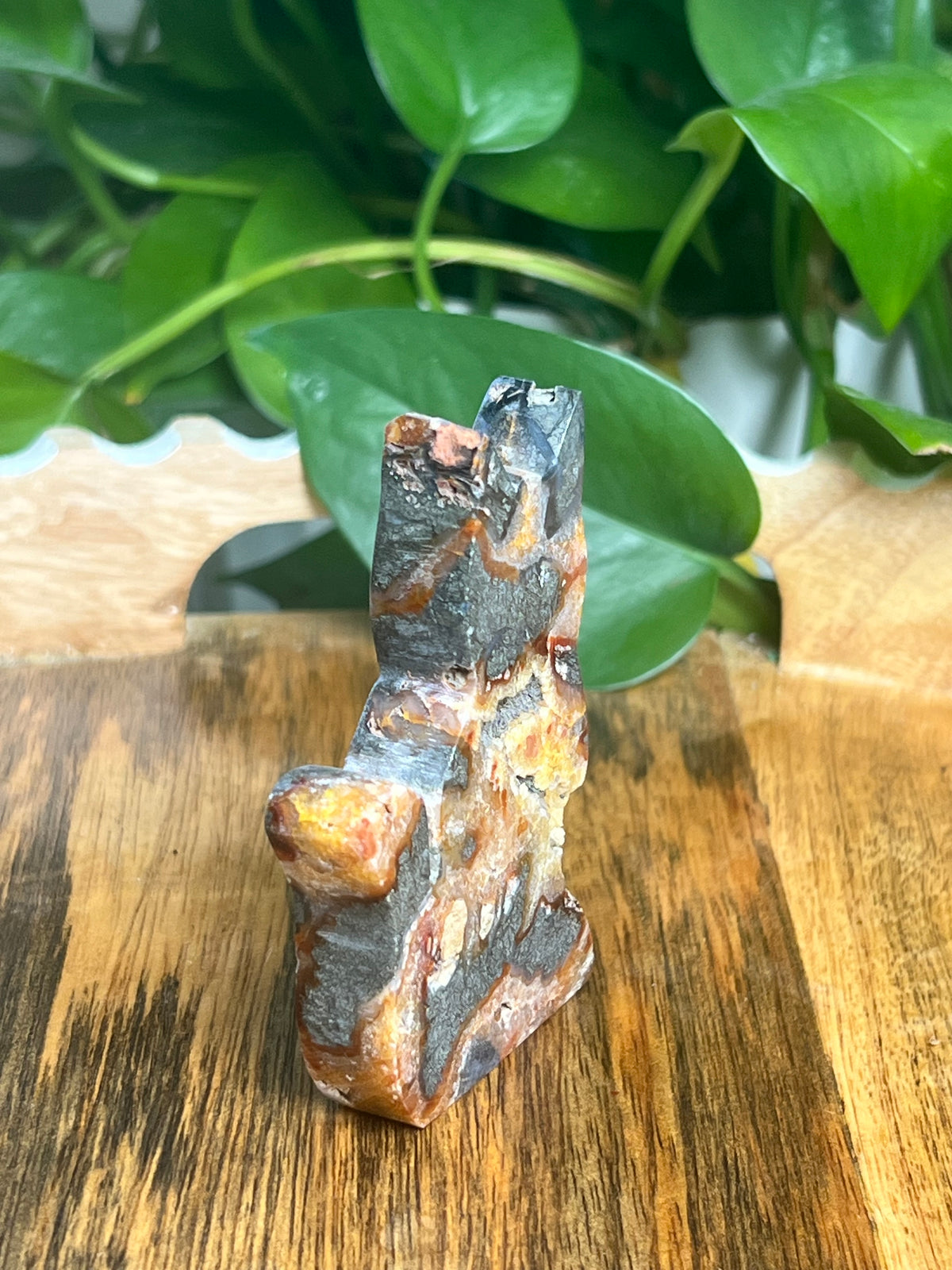 Marcasite Cat: DG