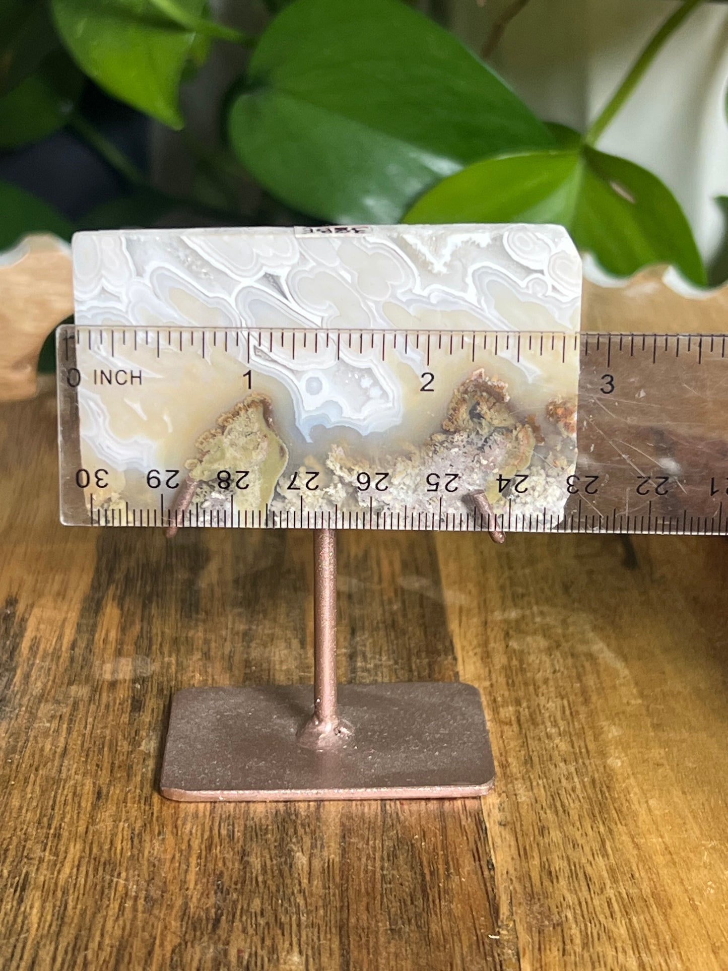 Scenic Moss Agate Mini Slab