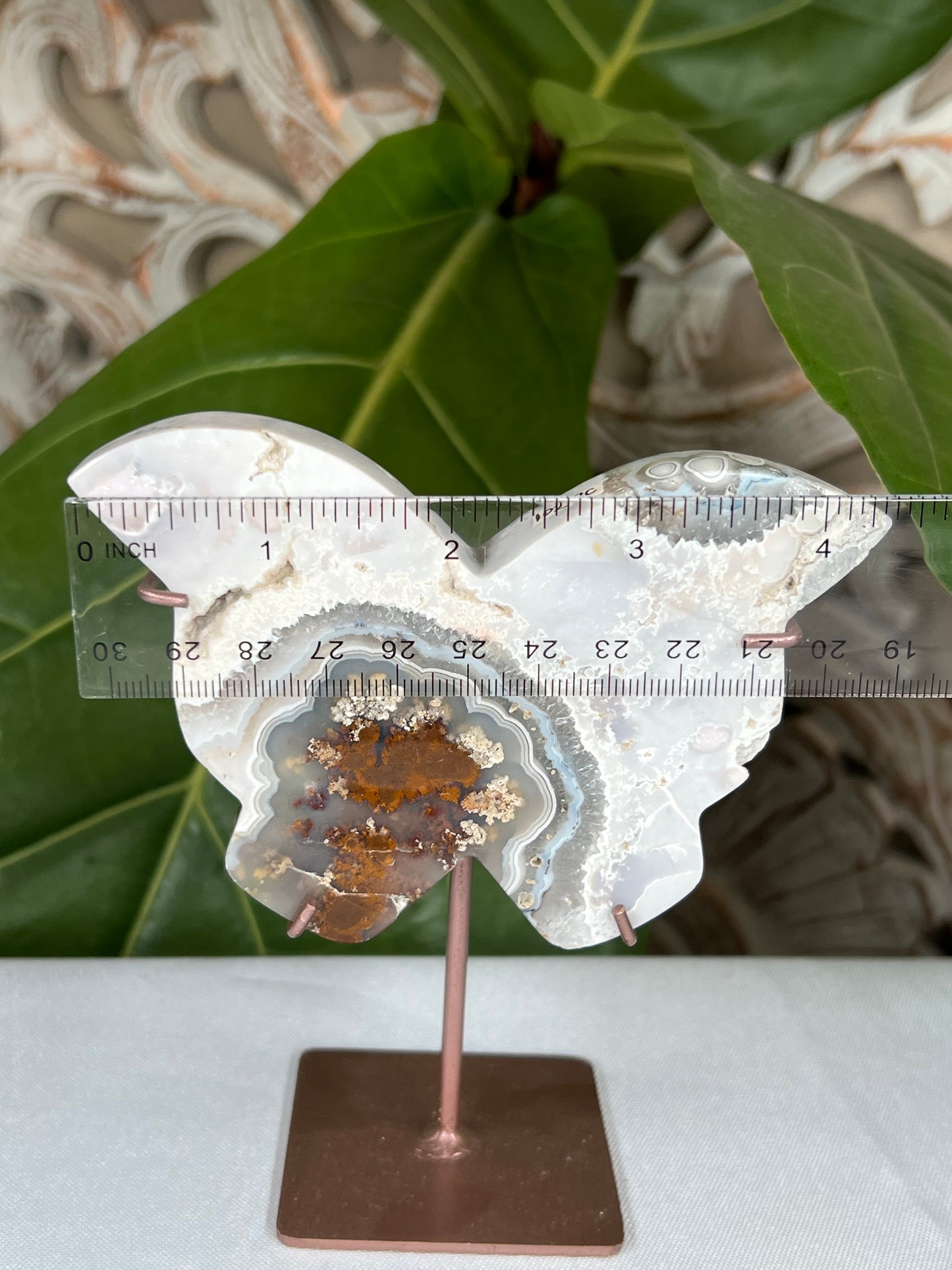 Scenic Moss Agate Butterfly