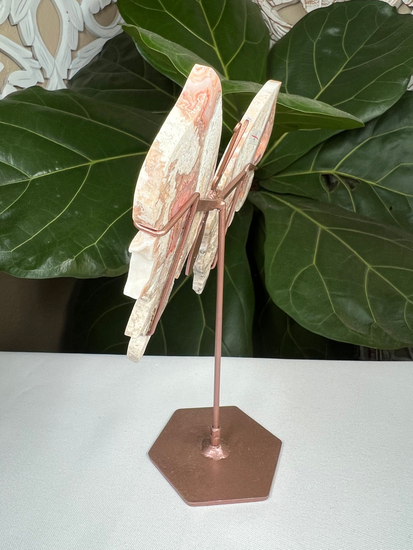 Crazy Lace Agate Wings
