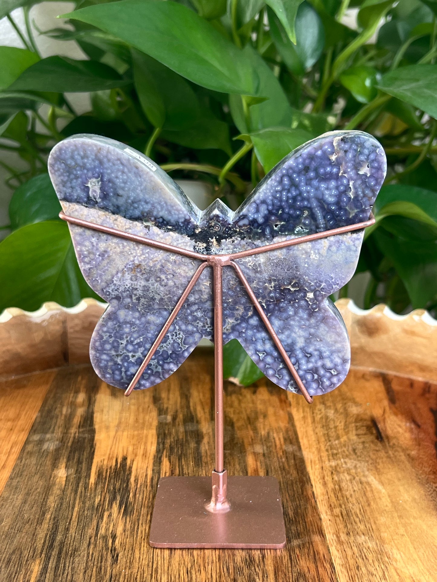 Grape Agate Butterfly: PX
