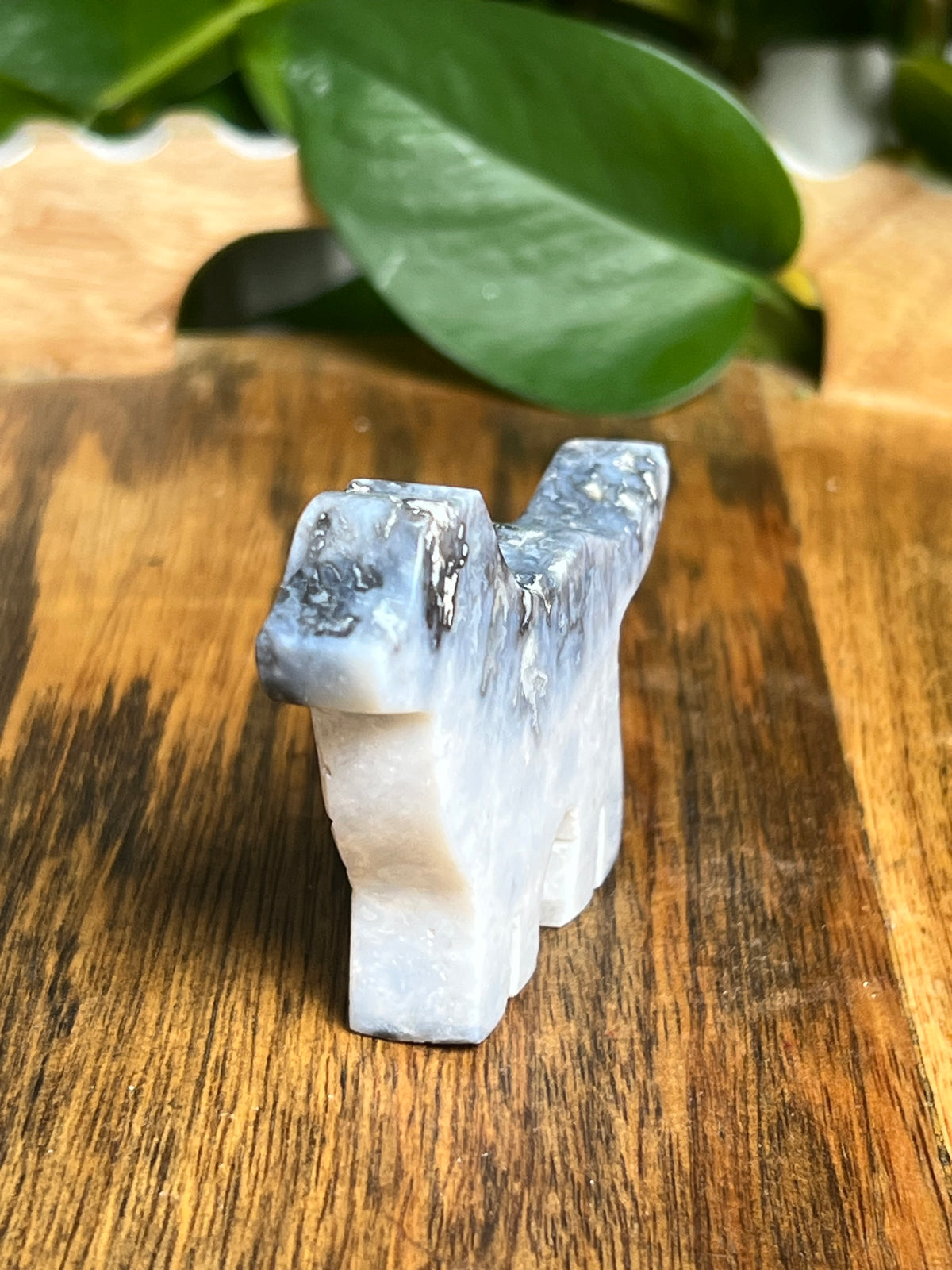 Blue Plume Agate Dog: BA