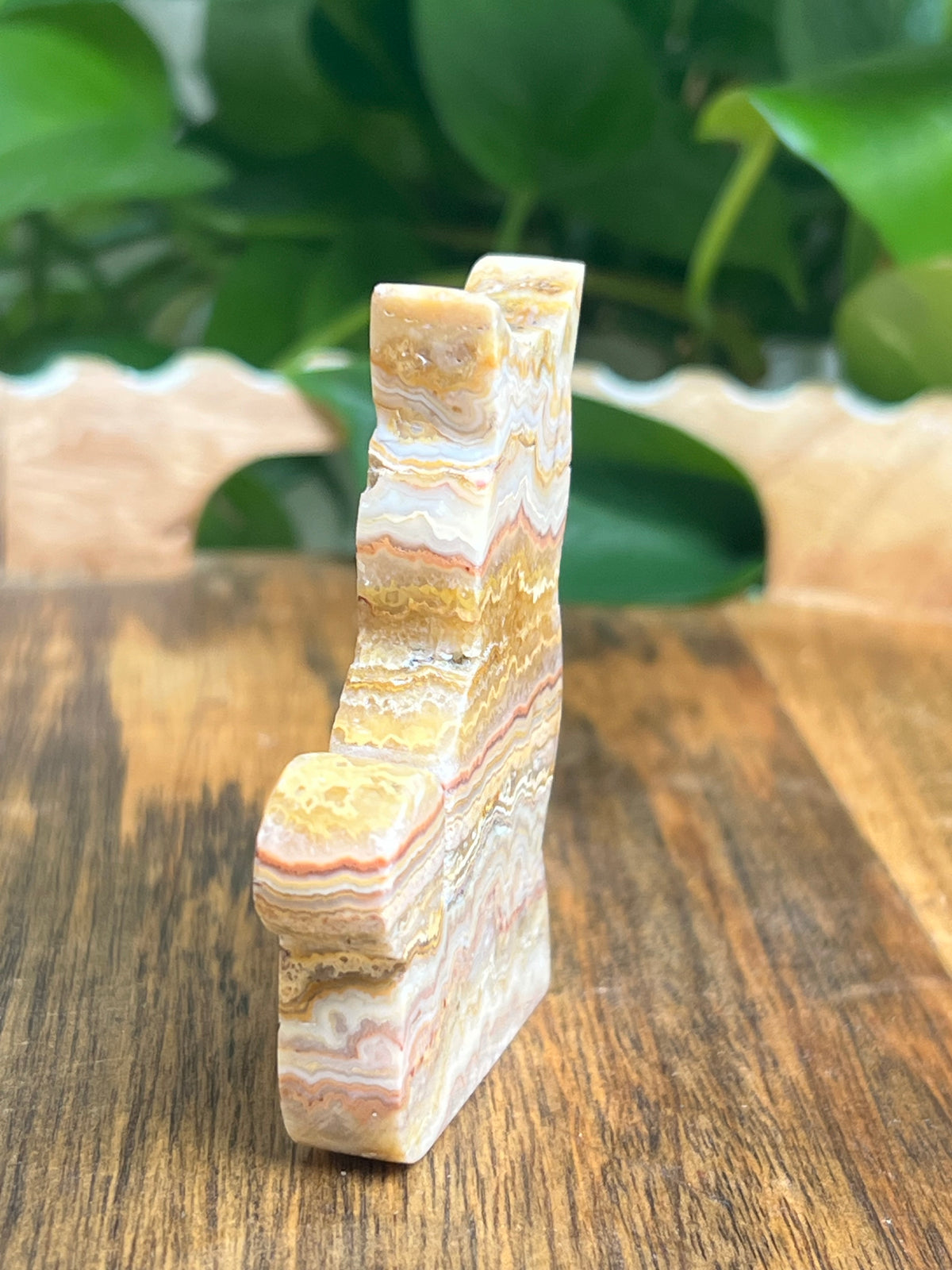 Crazy Lace Agate Cat: QA