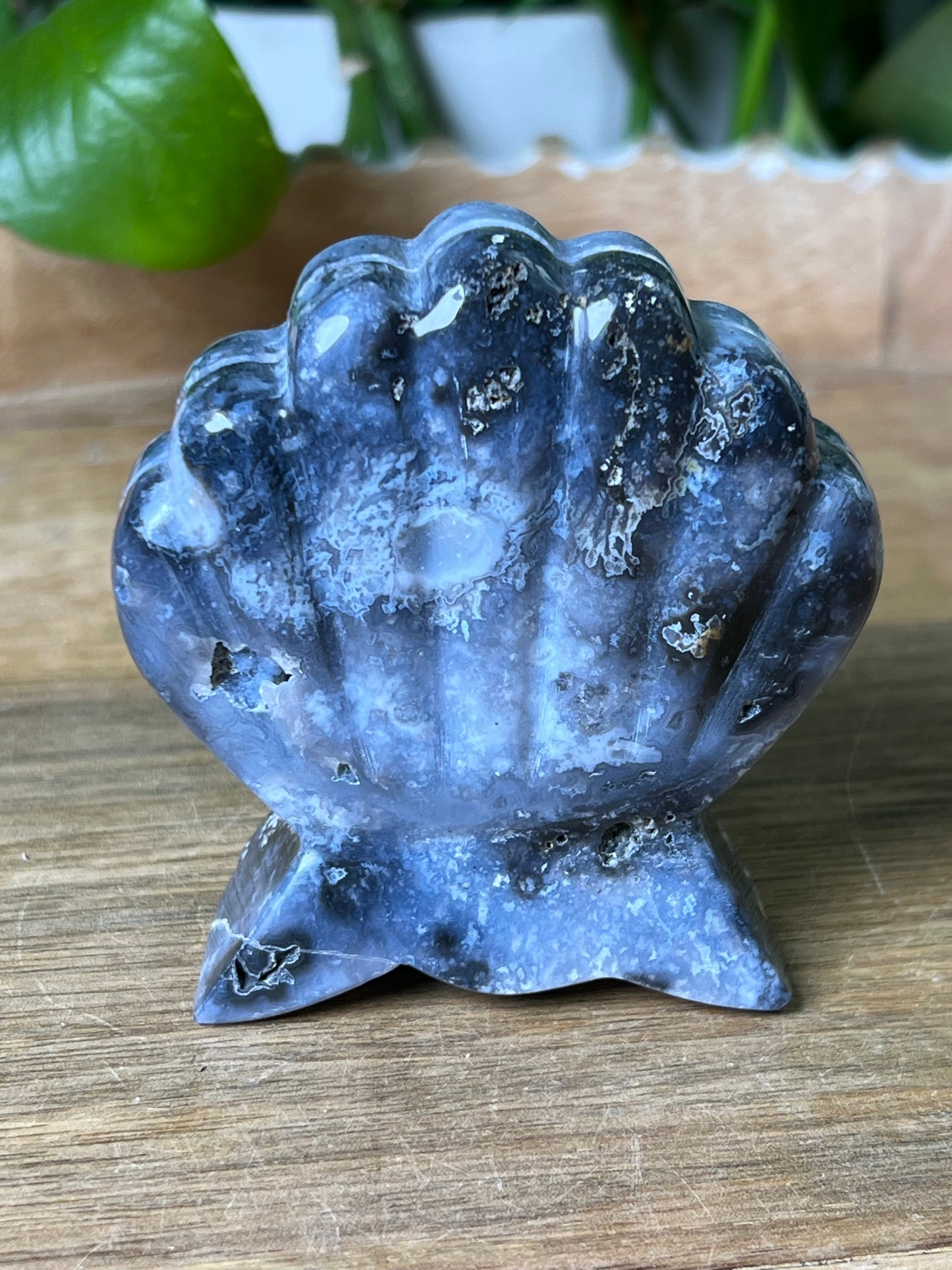 Blue Plume Agate Shell