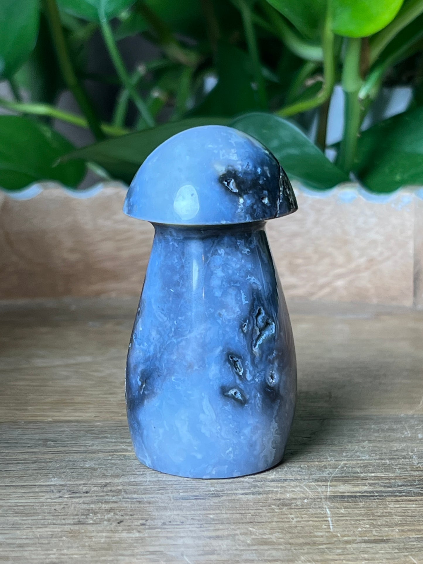 Blue Plume Agate Mushroom: ZE