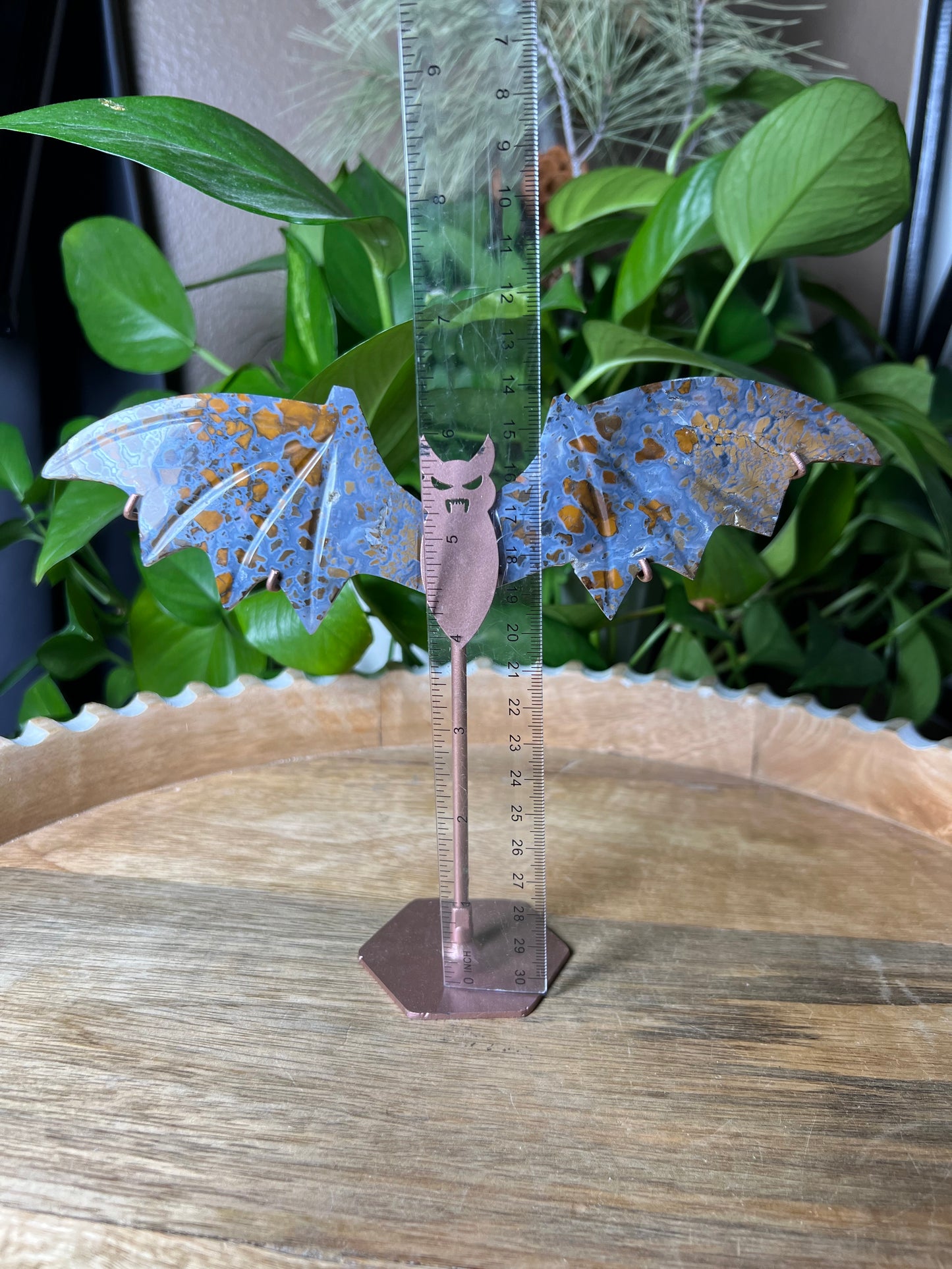 Brecciated Jasper Bat Wings