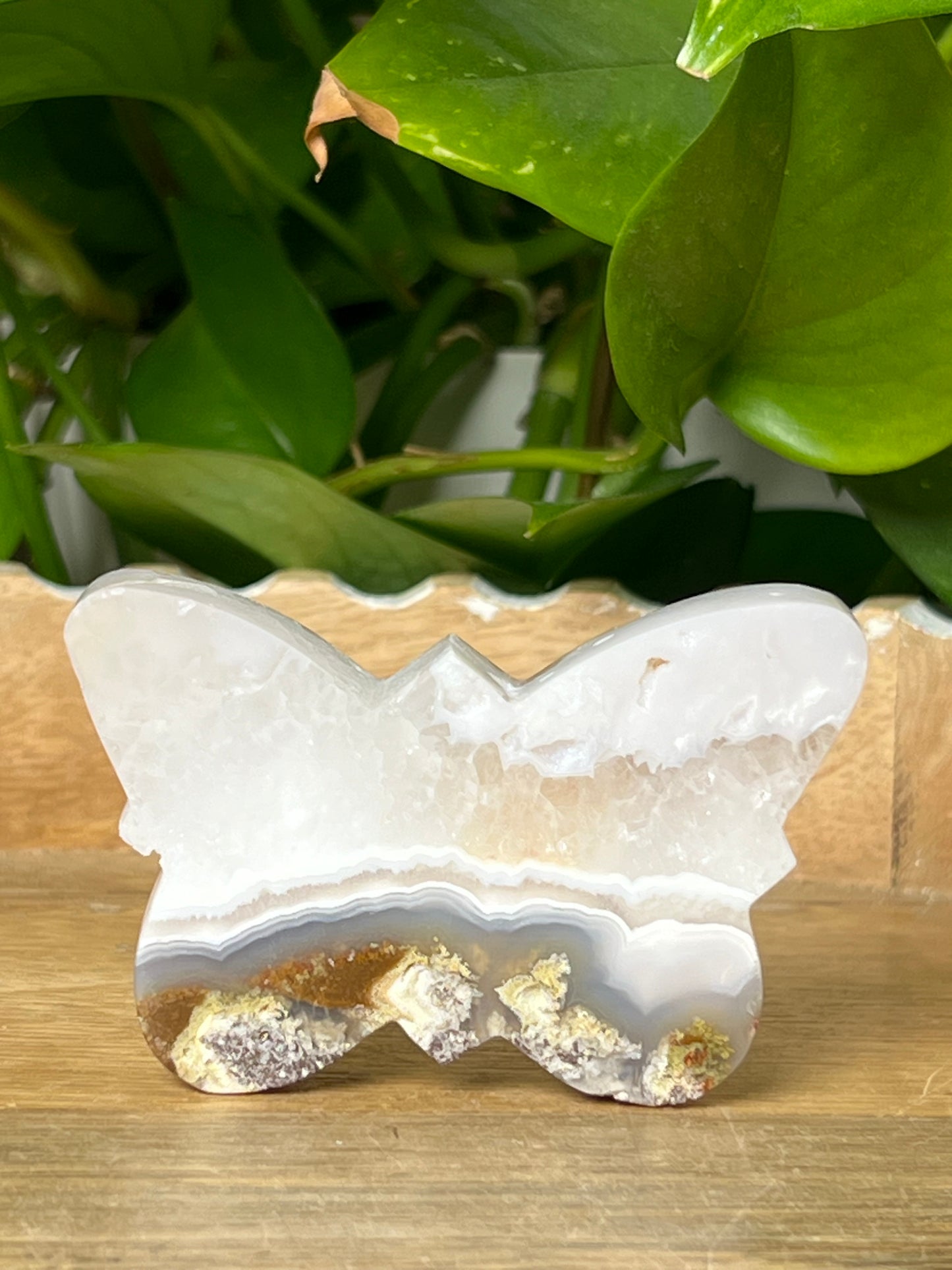 Scenic Moss Agate Butterfly