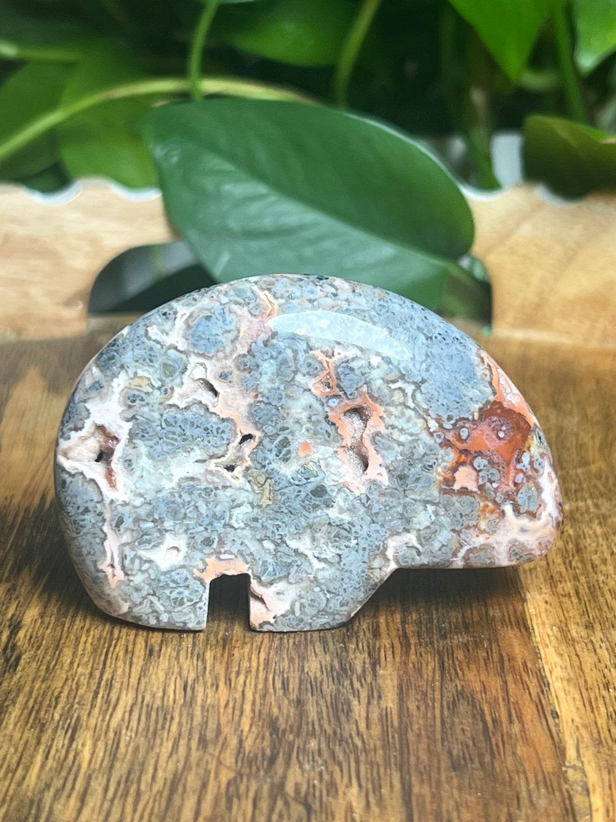 Marcasite Bear: TD