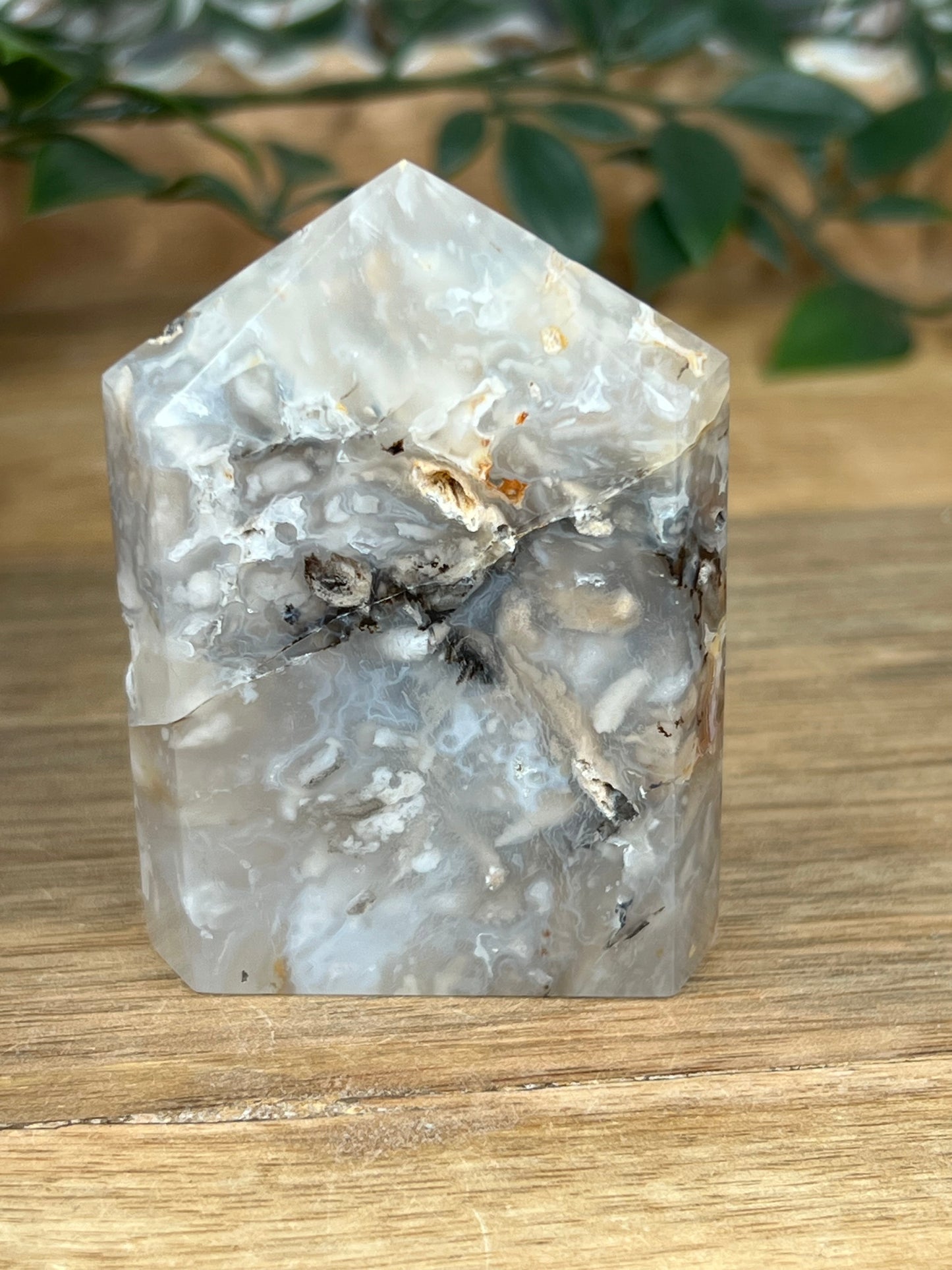 Dendritic Tiger Agate Tower