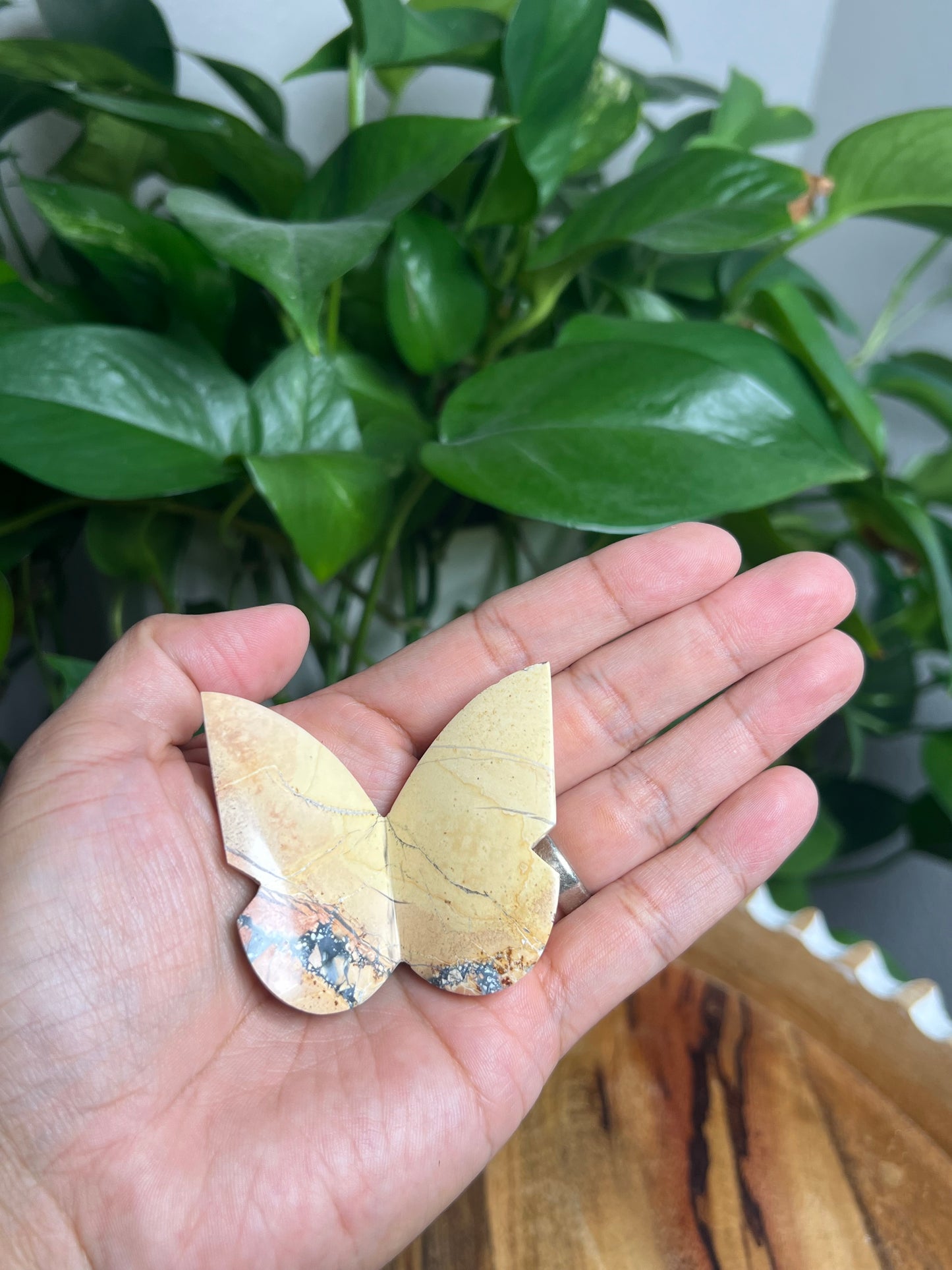 Maligano 3D Butterfly: AB