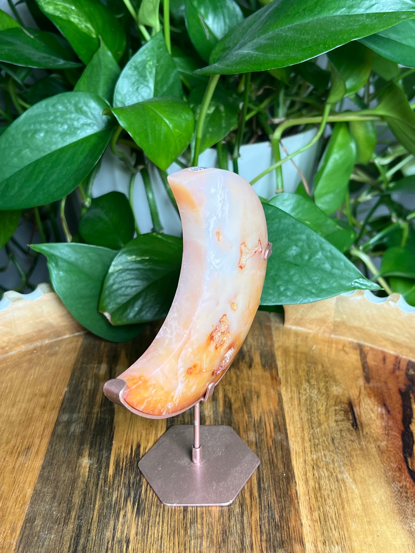 Carnelian Moon: BB
