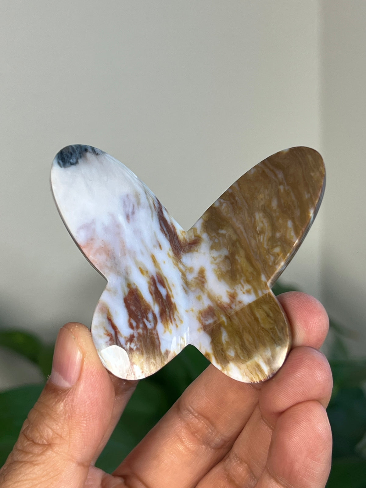 Milky River Jasper 3D Butterflies
