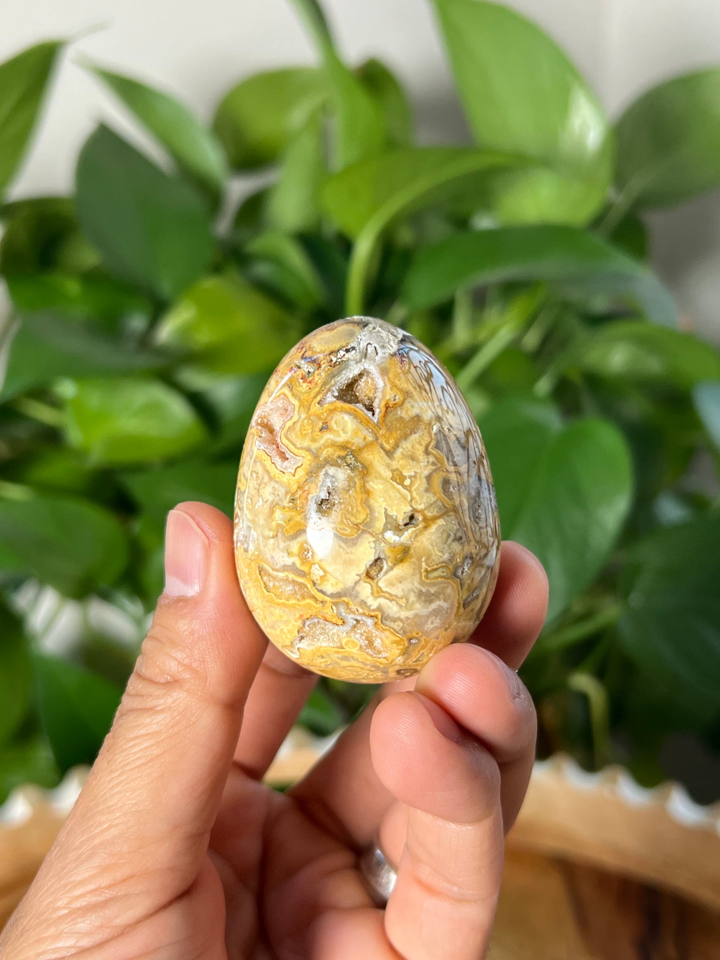 Crazy Lace Agate Egg