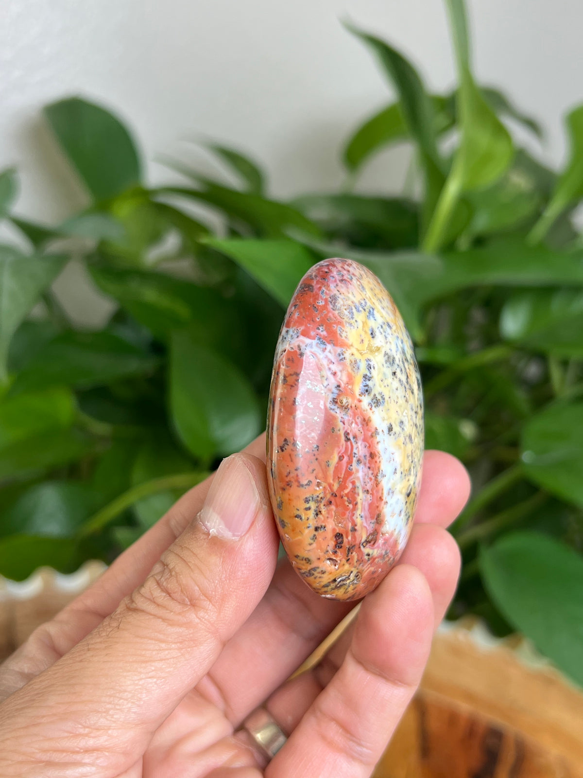 Marcasite Palmstone: MS