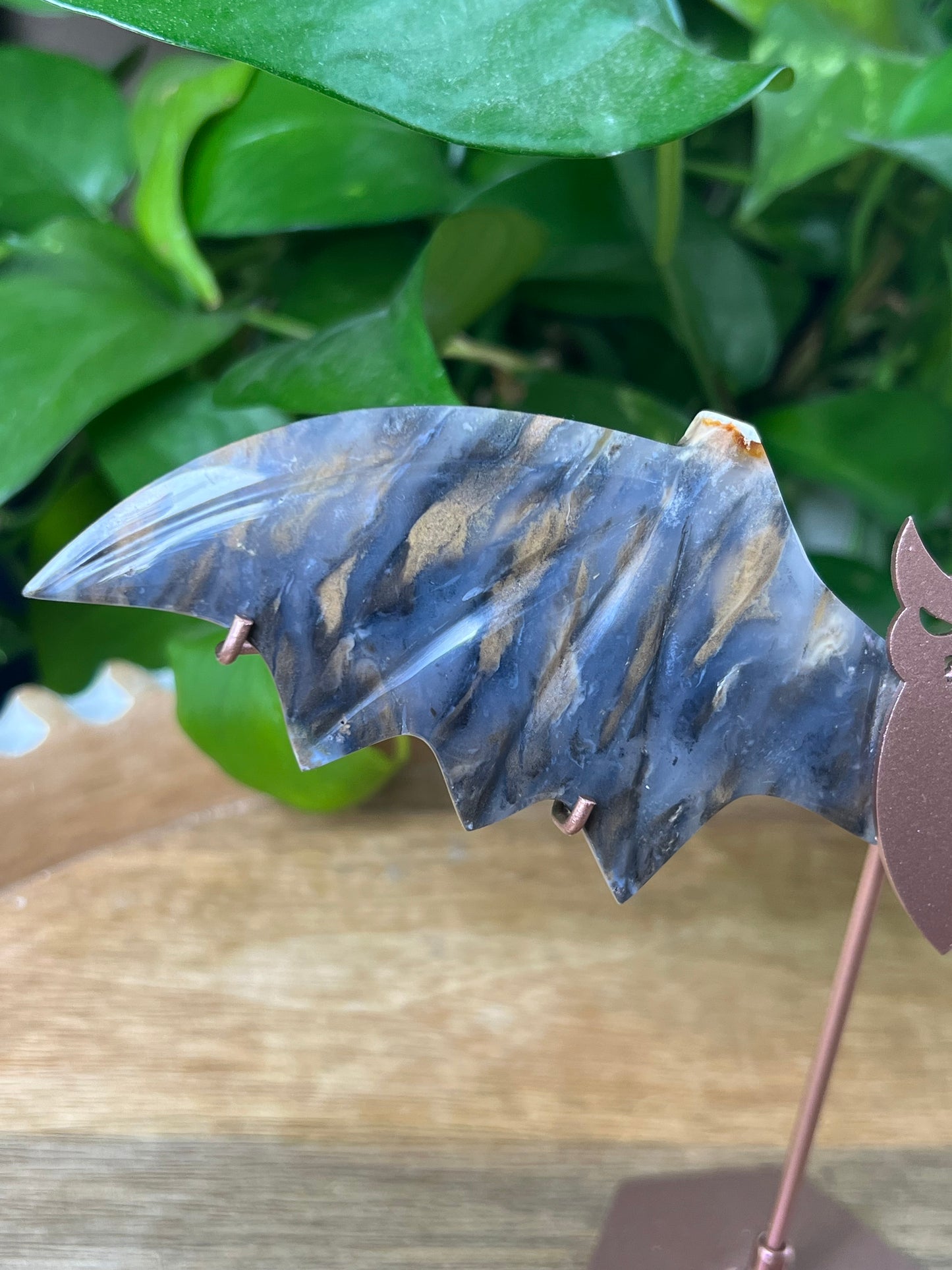 Dendritic Tiger Agate Bat Wings
