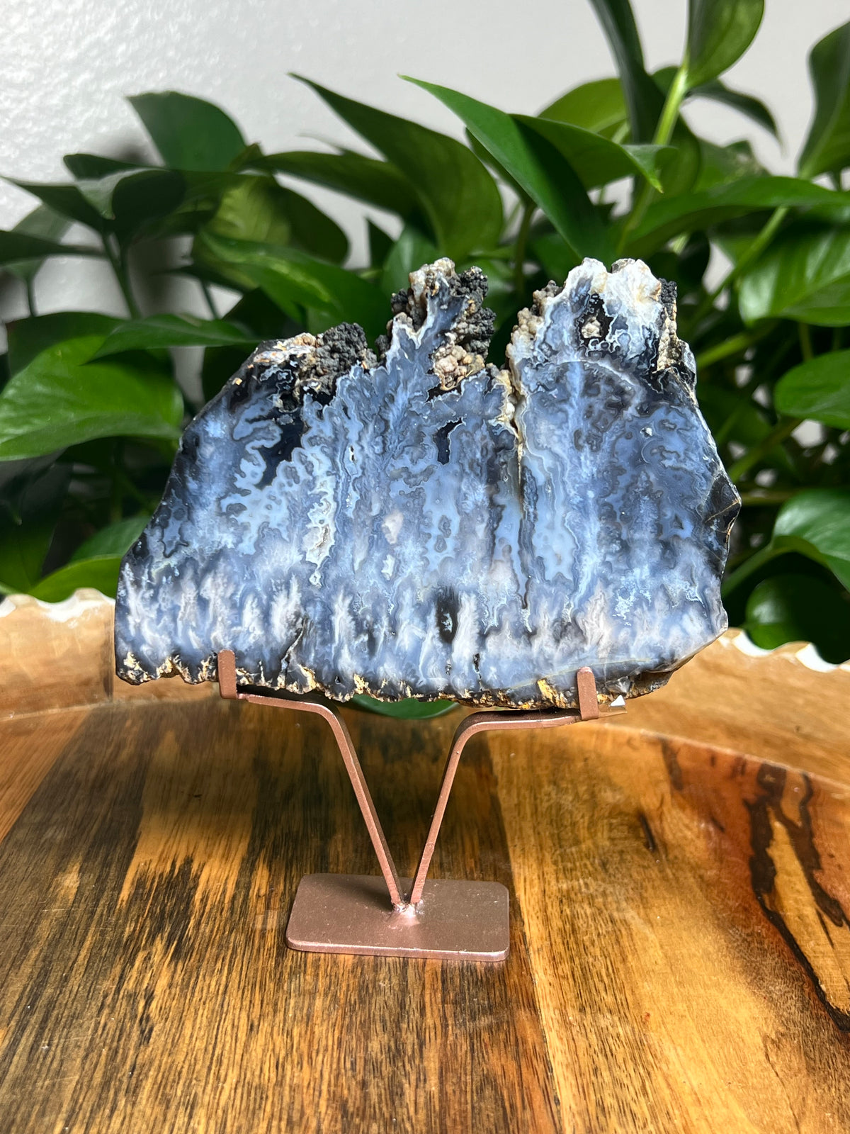 Blue Plume Agate Slab: X