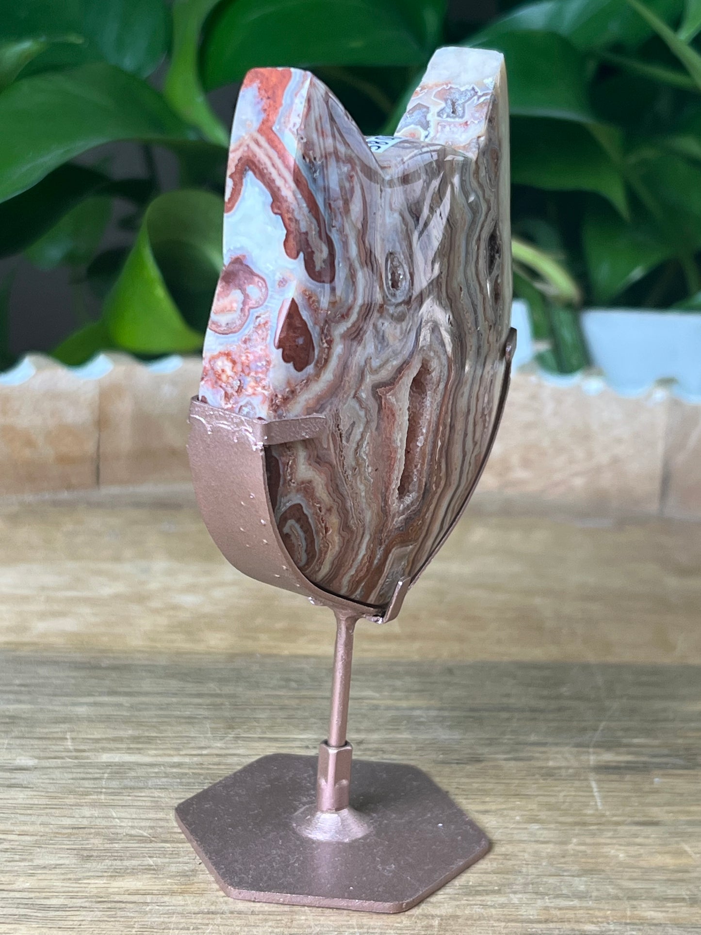 Crazy Lace Agate Cat