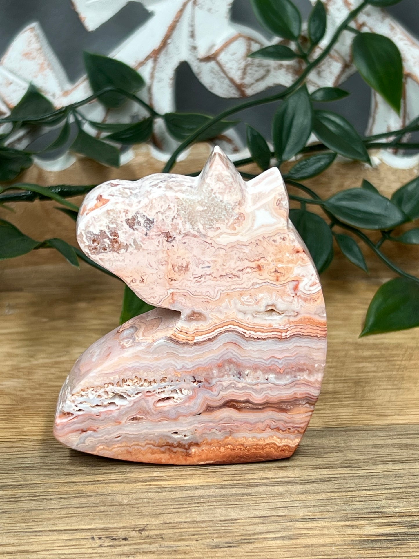 Pink Crazy Lace Agate Unicorn