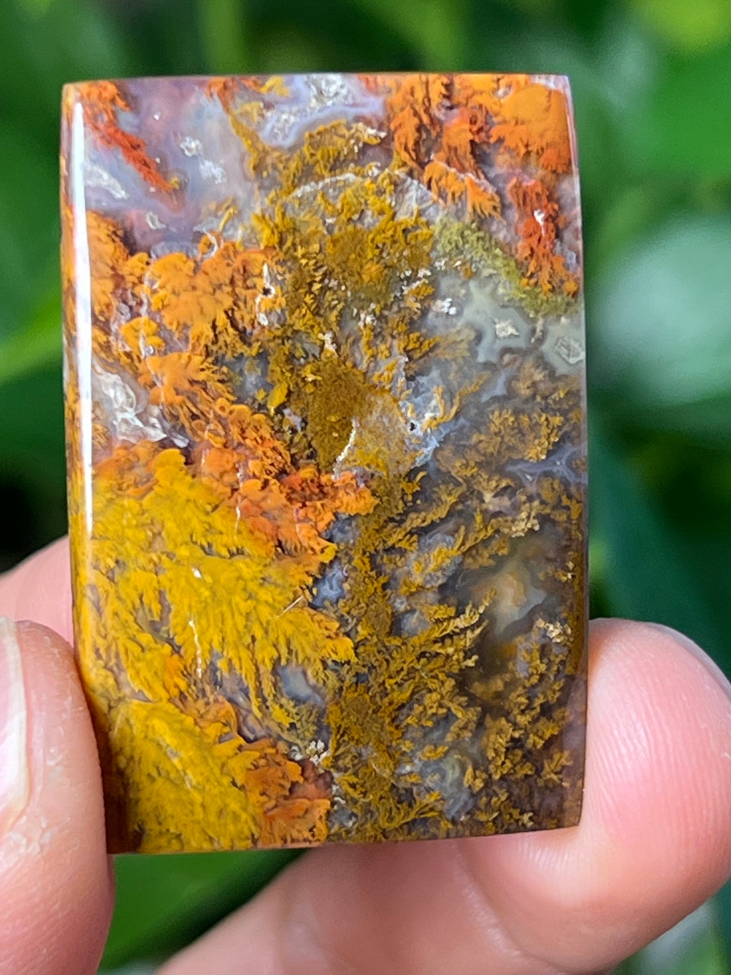 Scenic Moss Agate Cabochon