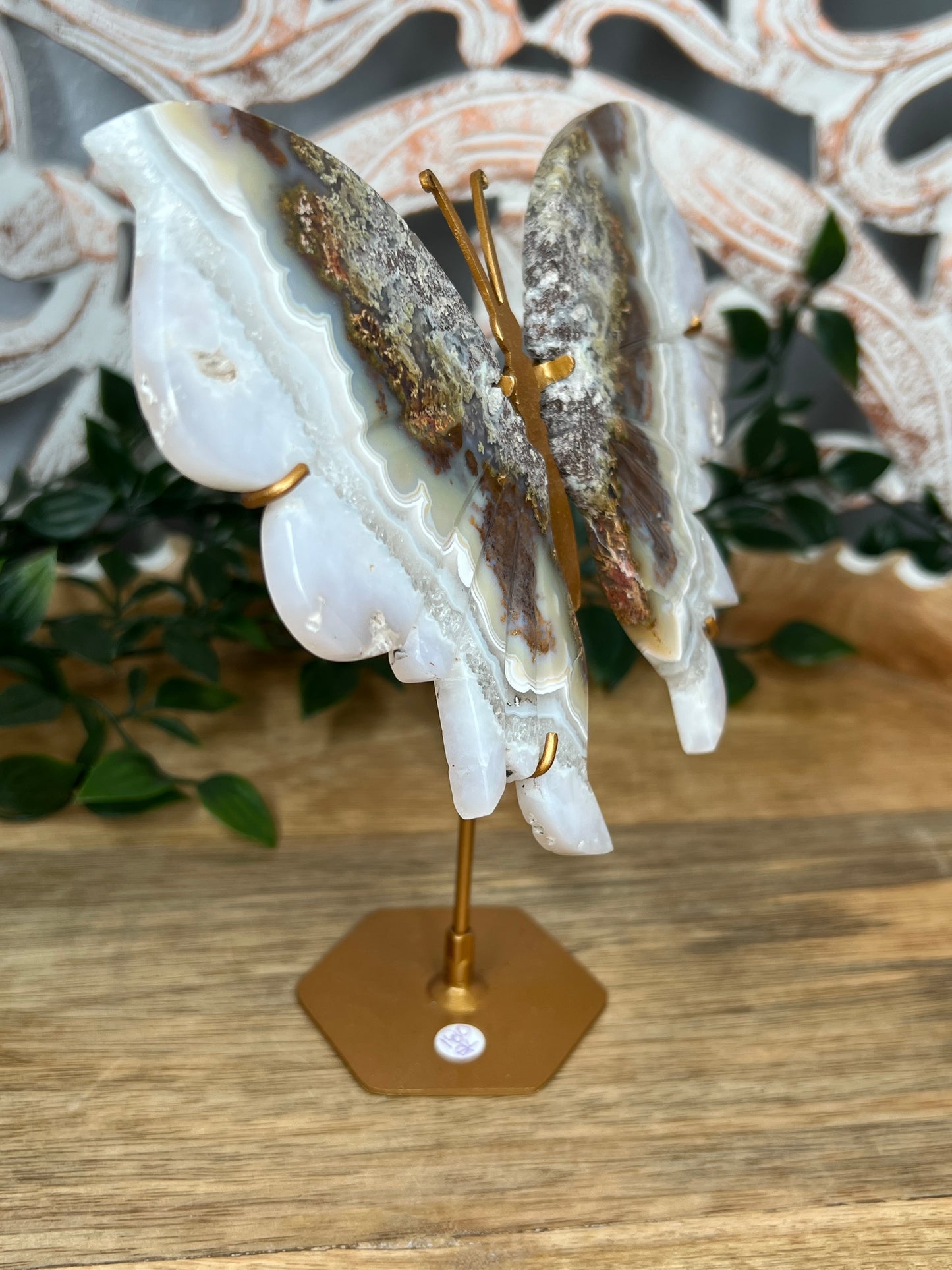 Scenic Moss Agate Wings