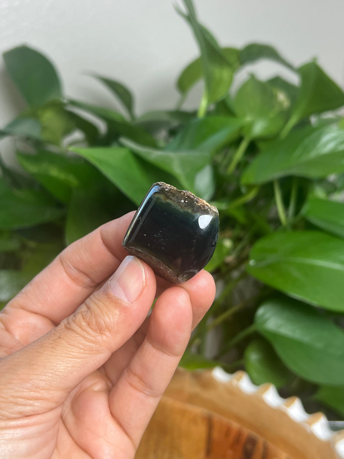 Blue Amber Freeform: BR