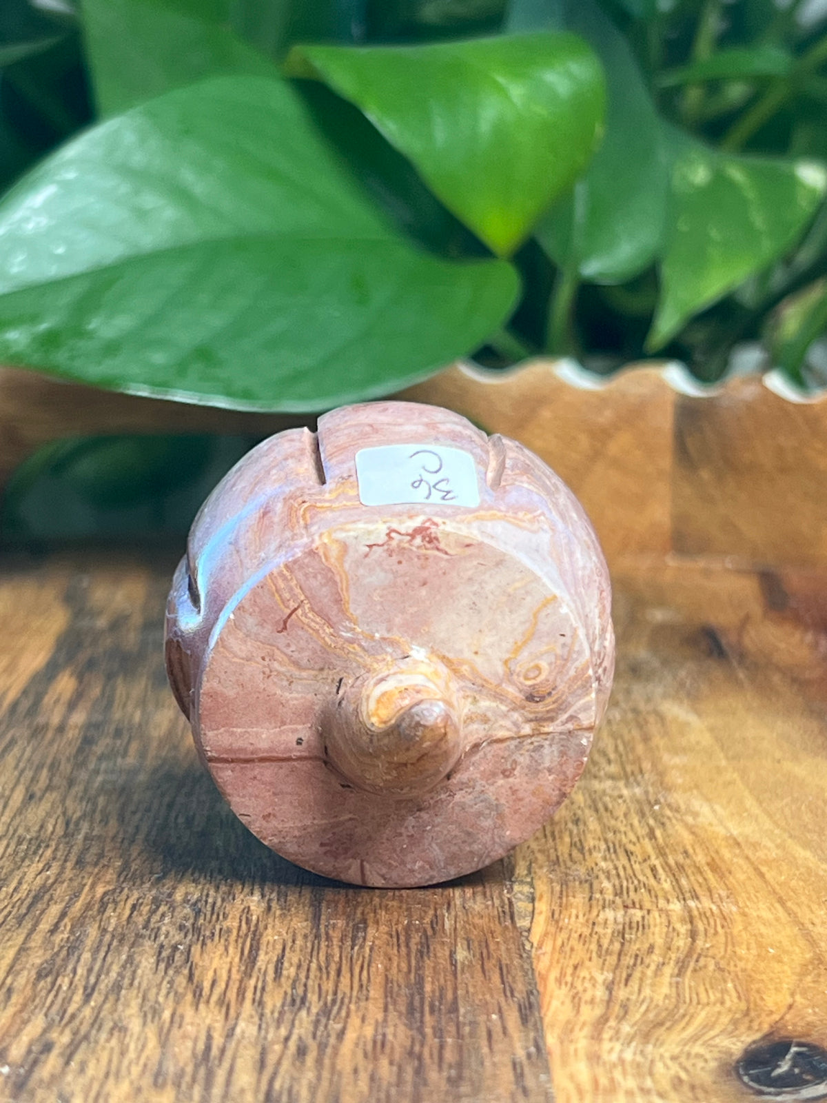 Pink Polycrome Pumpkin: C