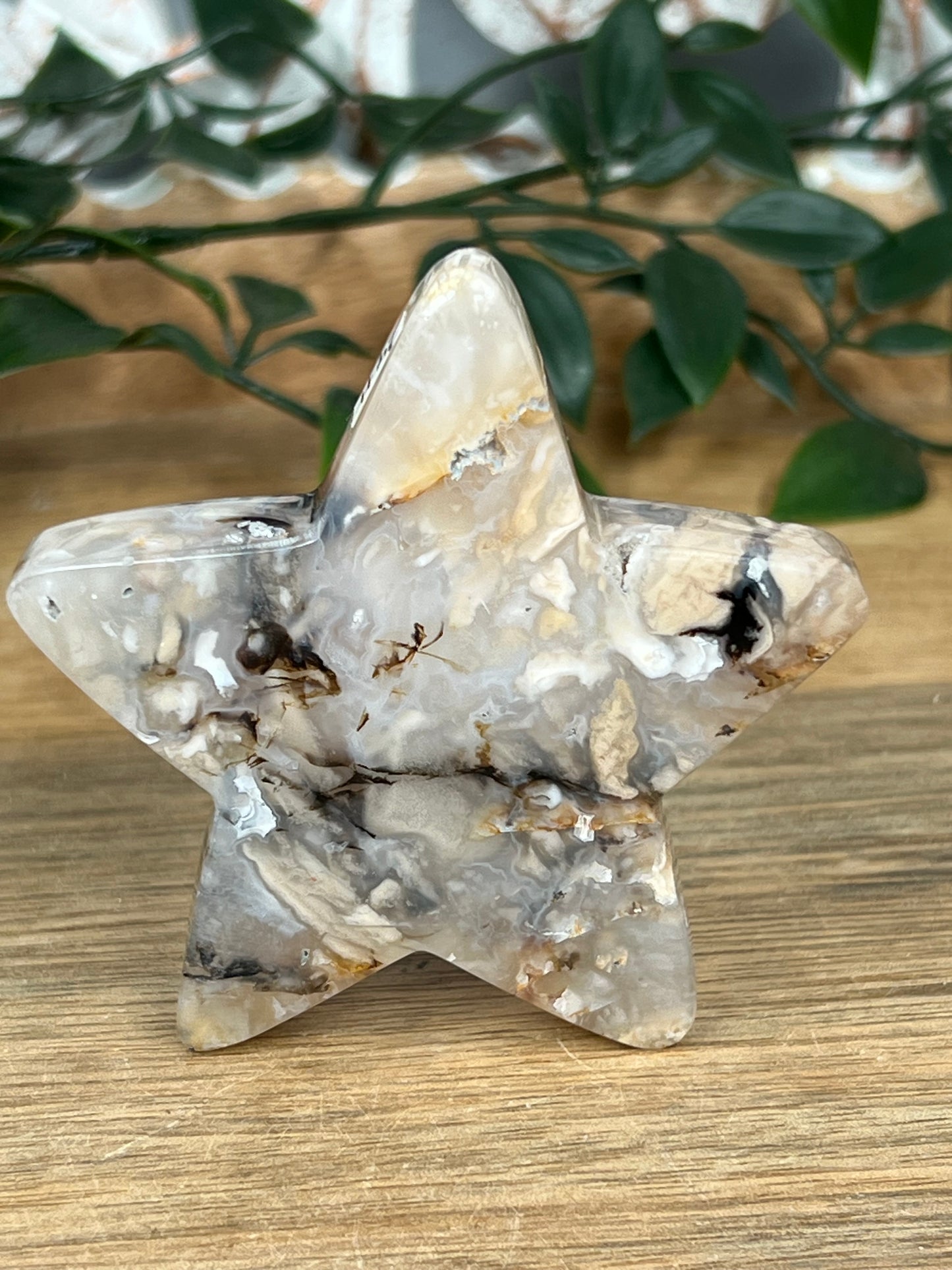 Dendritic Tiger Agate Star