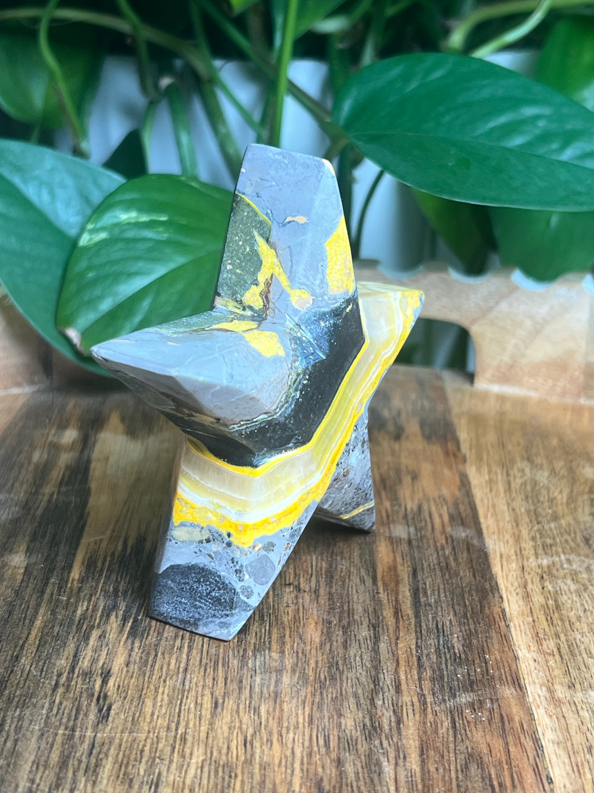 Bumblebee Jasper Star: E