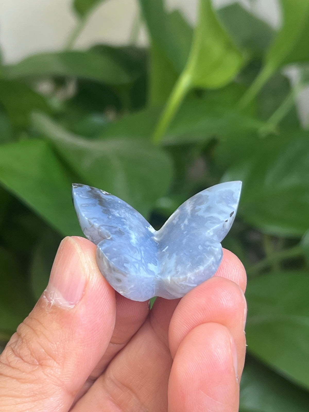 Blue Plume Agate 3D Butterfly: AW