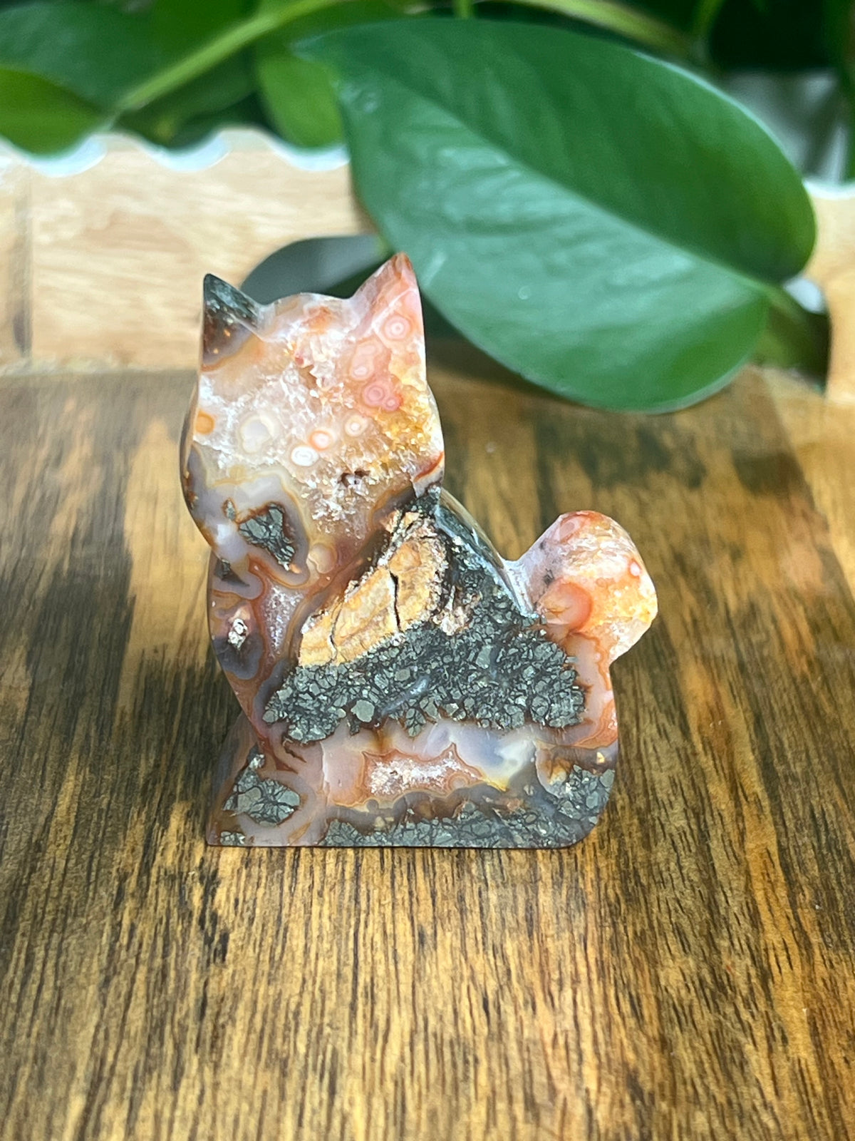 Marcasite Cat: XA