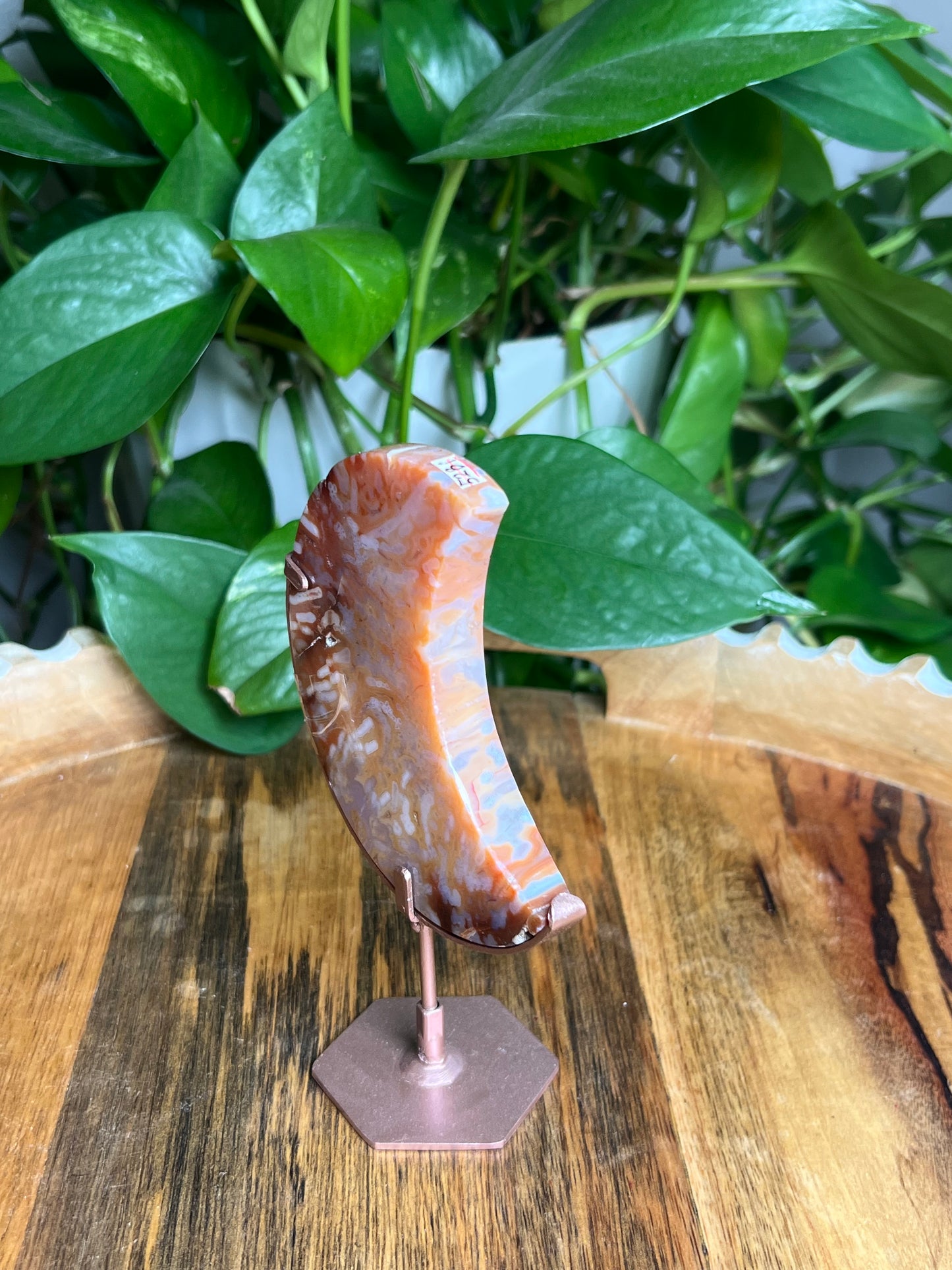 Carnelian Moon: Bi
