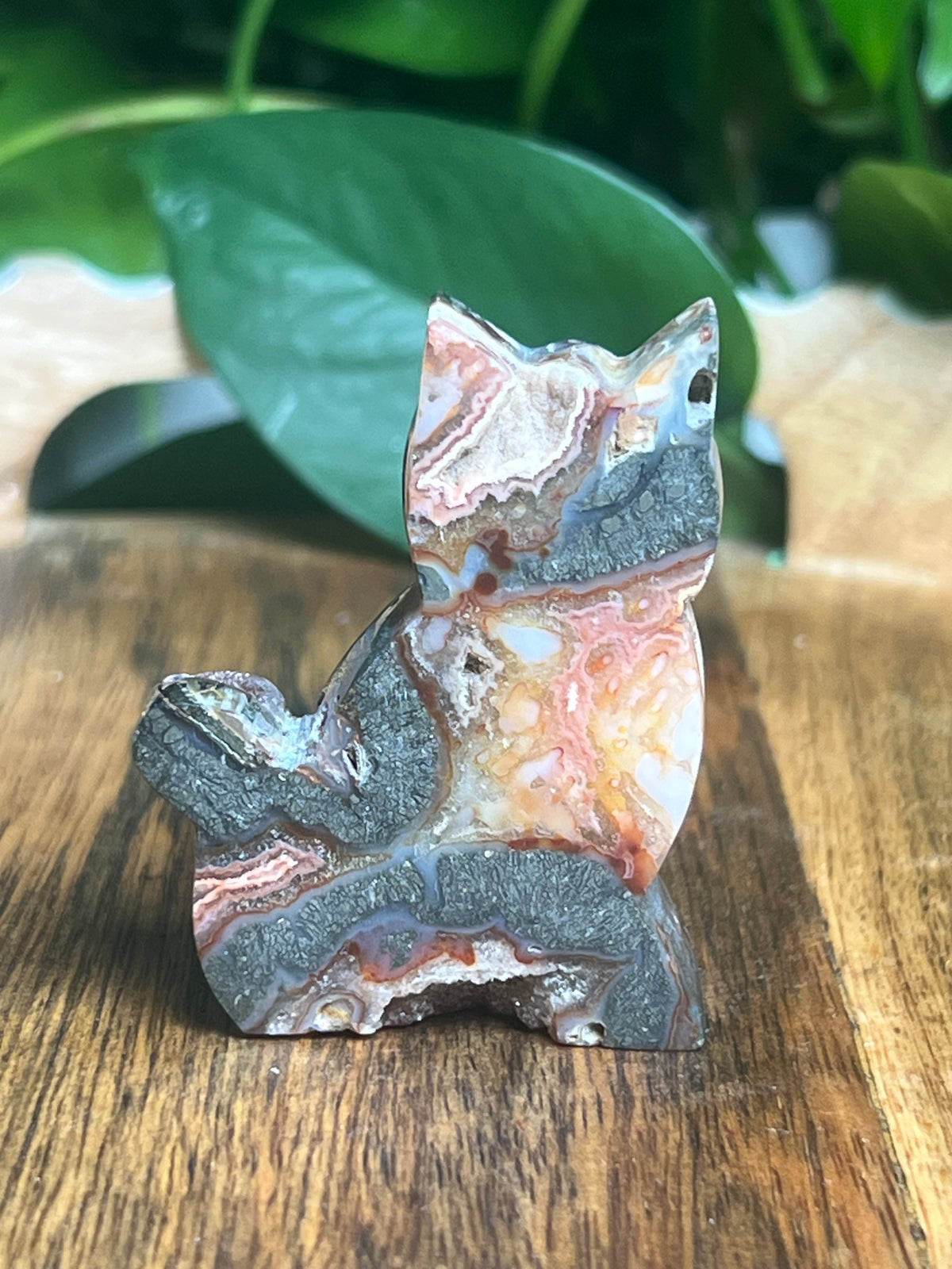 Marcasite Mini Cat: XG