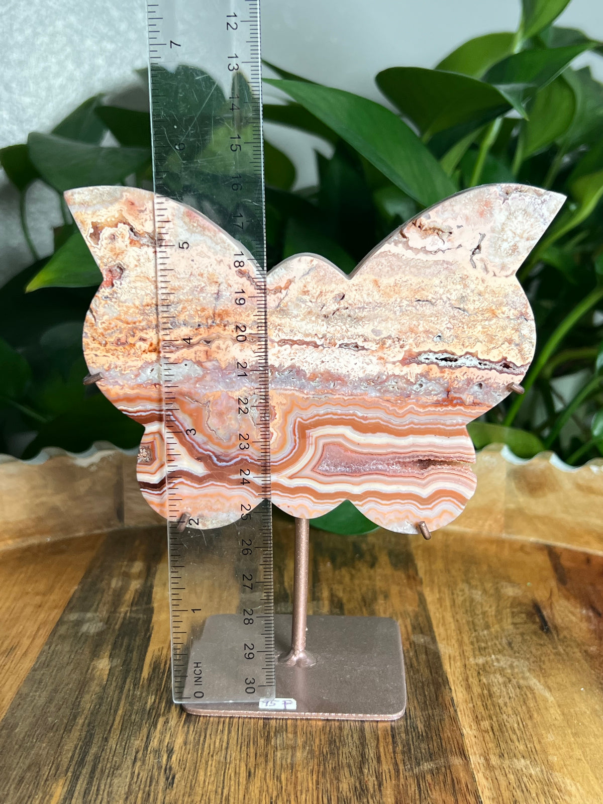 Crazy Lace Agate Butterfly: F