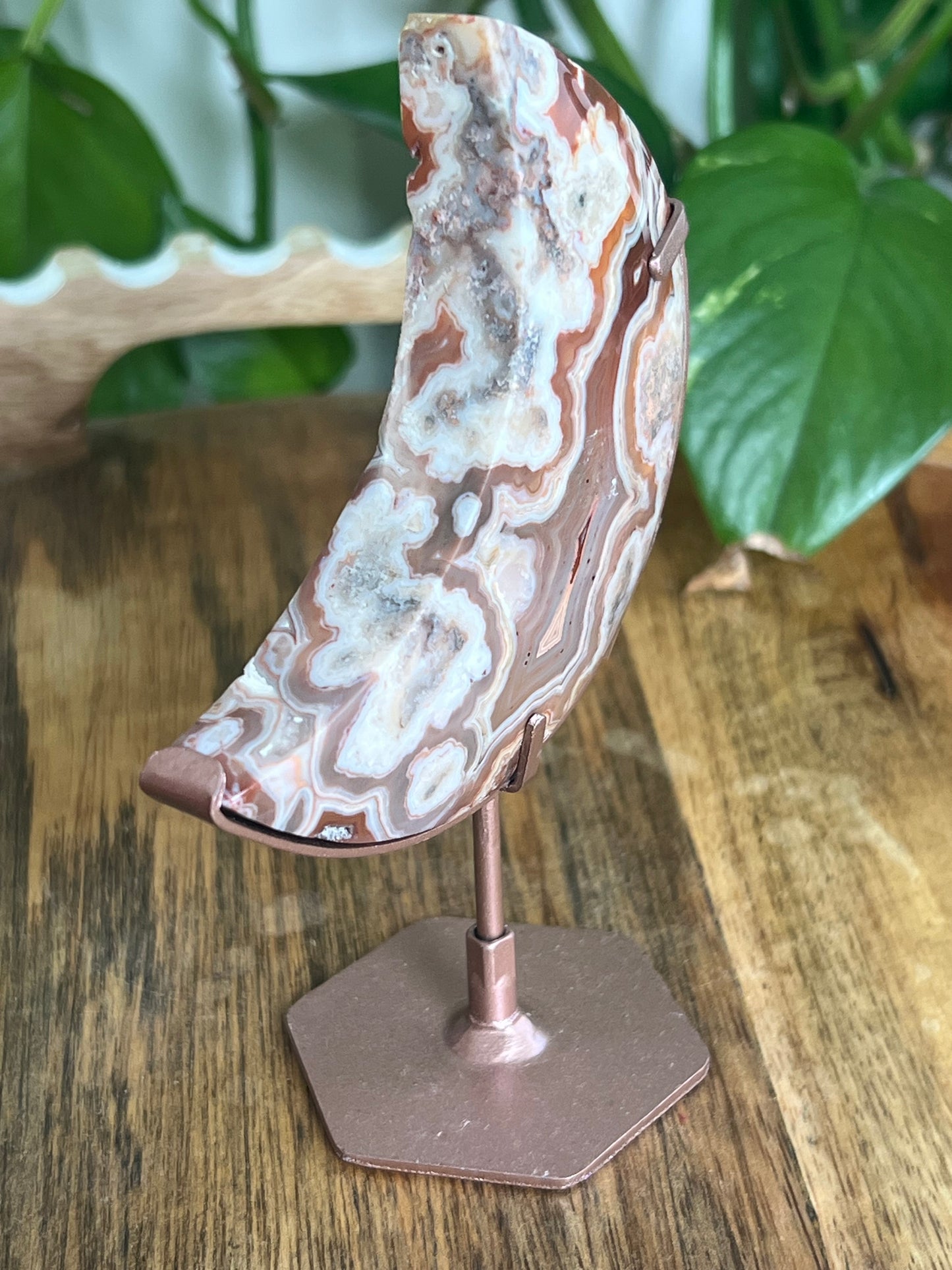 Crazy Lace Agate Moon BK